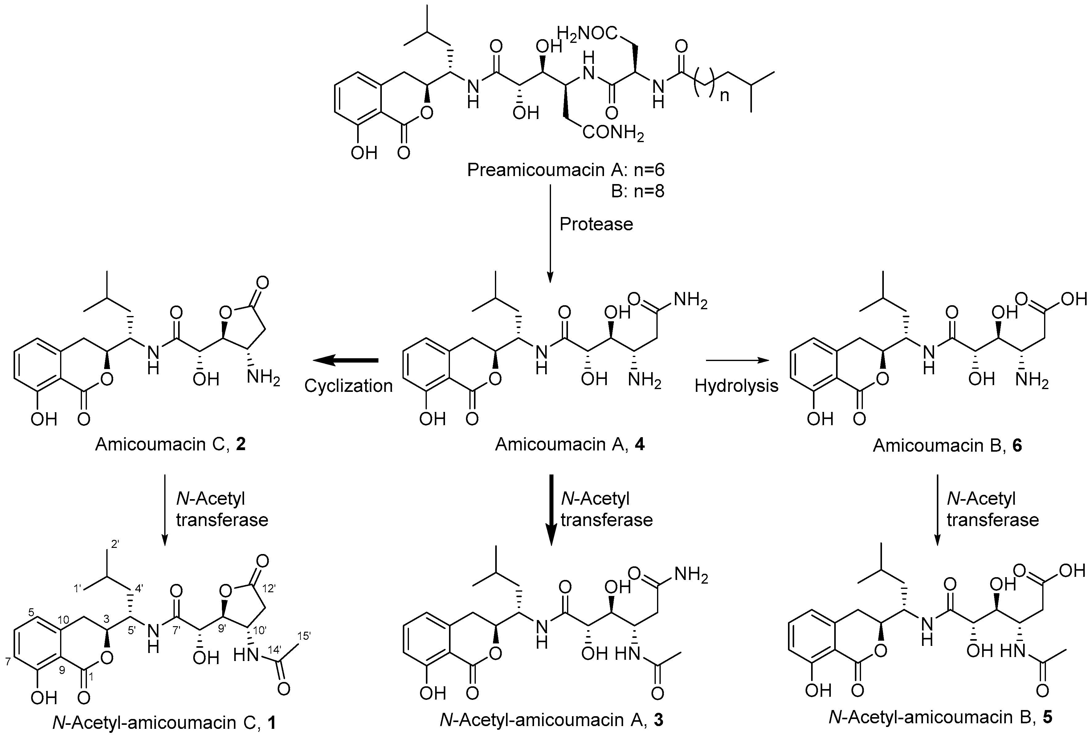 Molecules 21 00824 g001