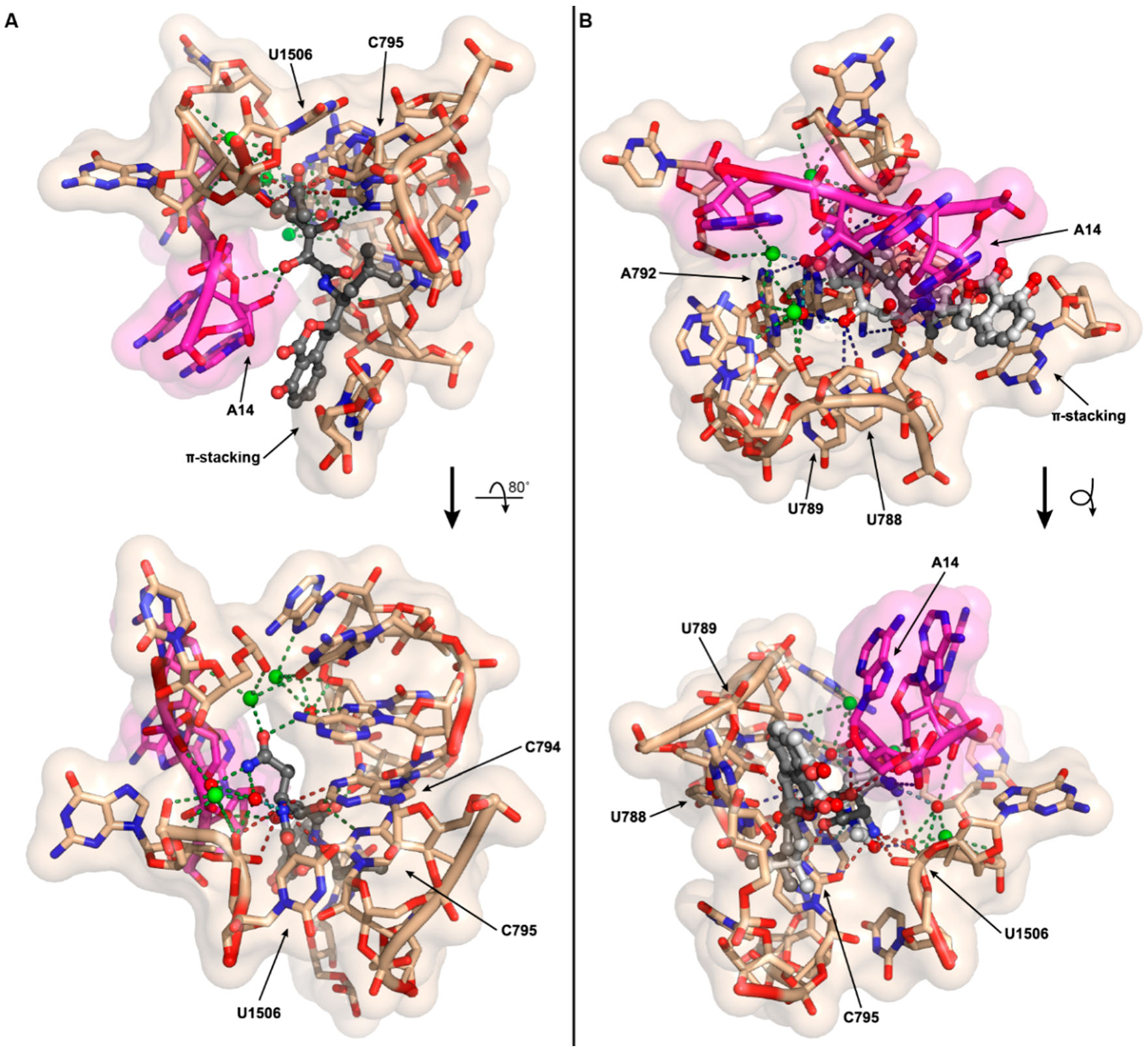 Molecules 21 00824 g005