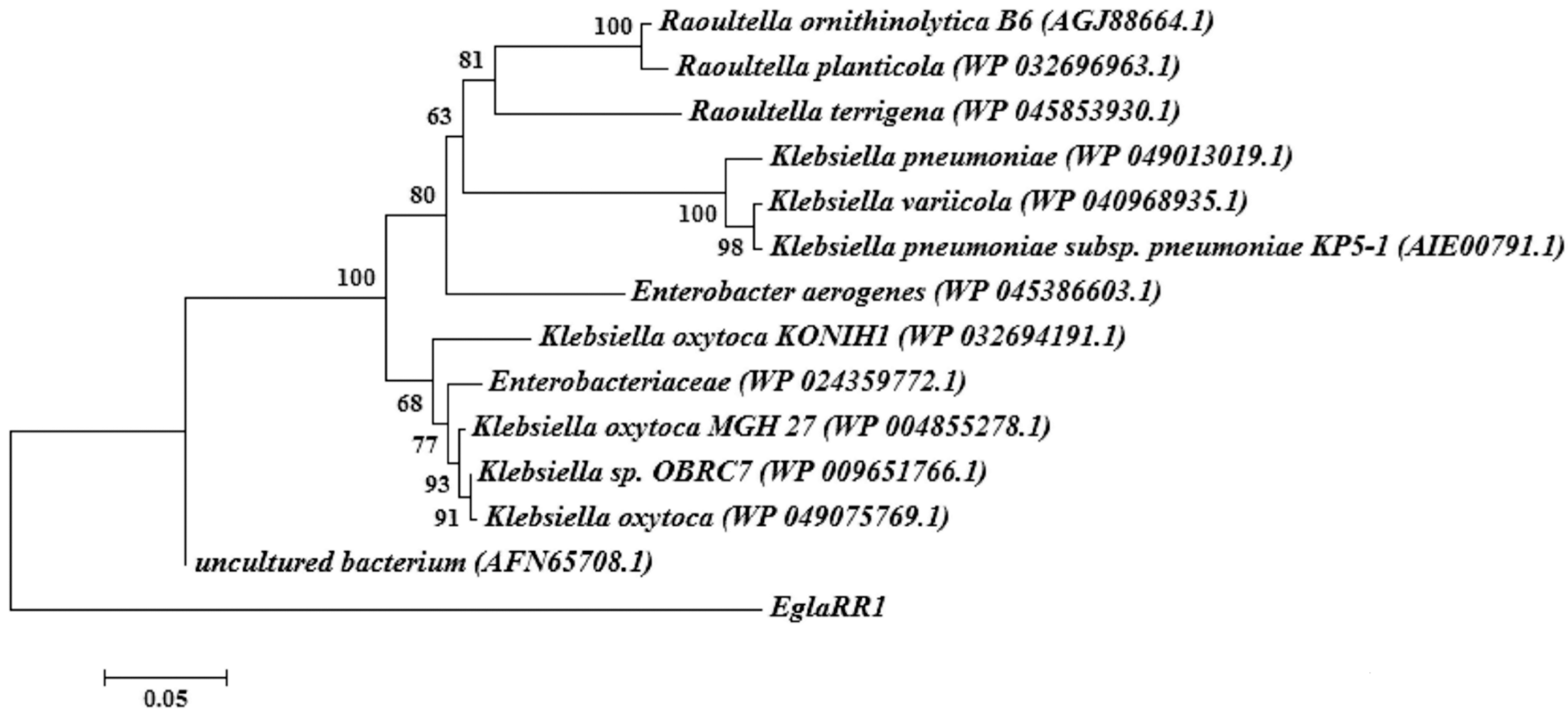 Molecules 21 00831 g002