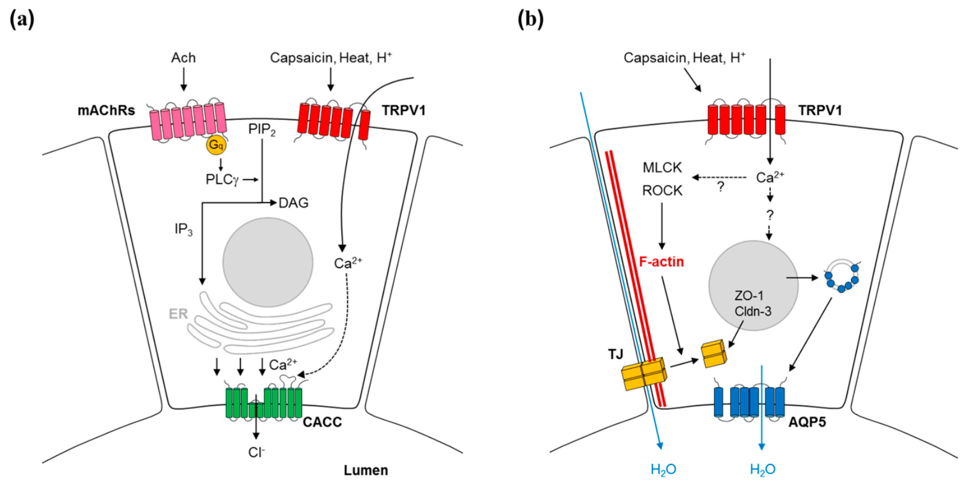Molecules 21 00835 g001