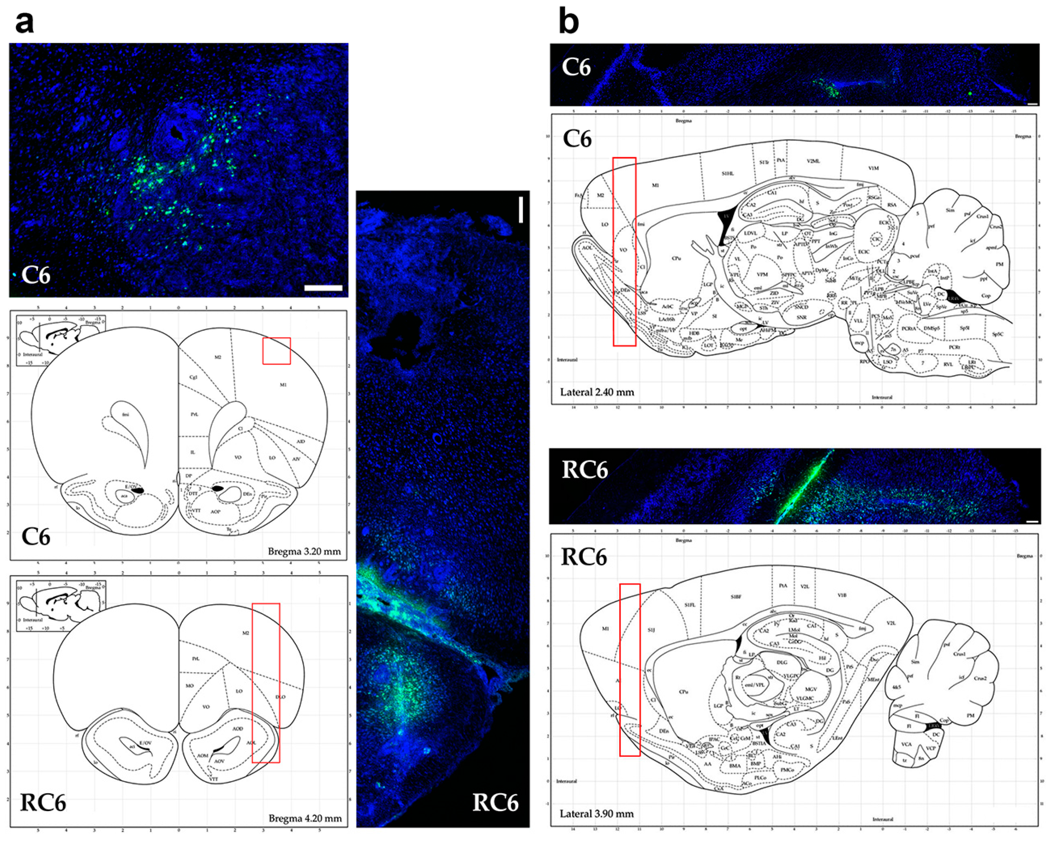 Molecules 21 00843 g004