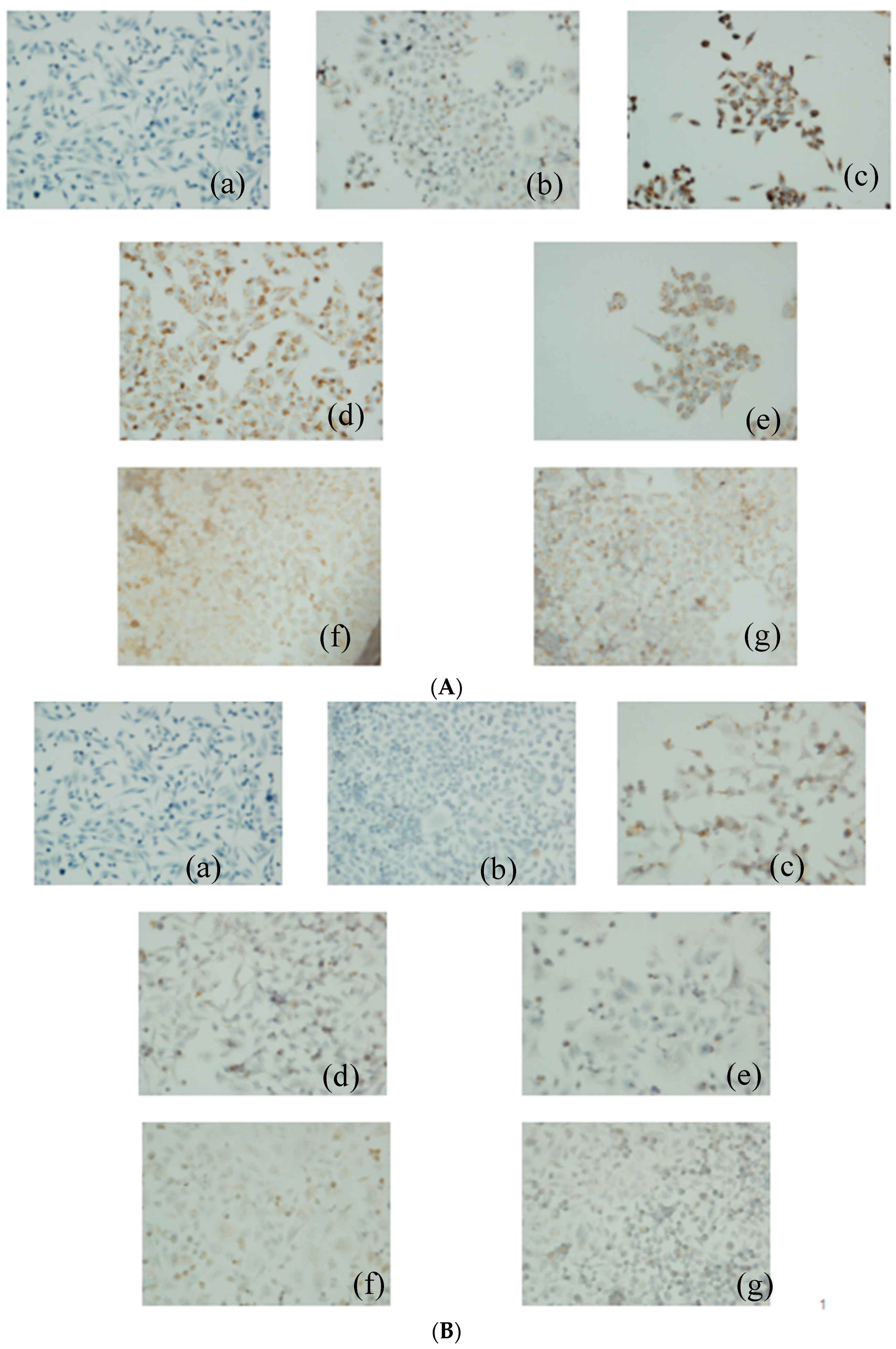 Molecules 21 00852 g006a