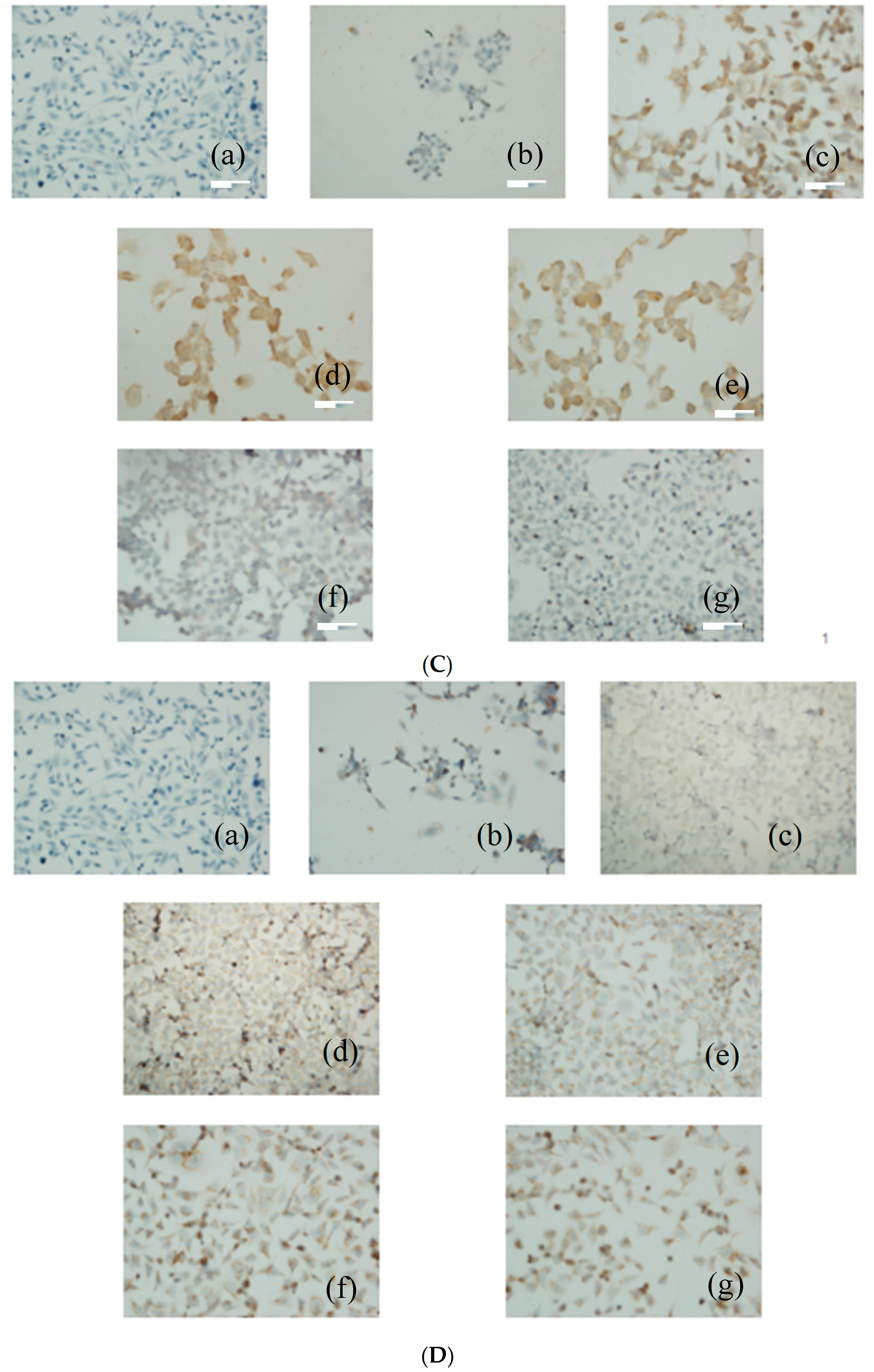 Molecules 21 00852 g006b