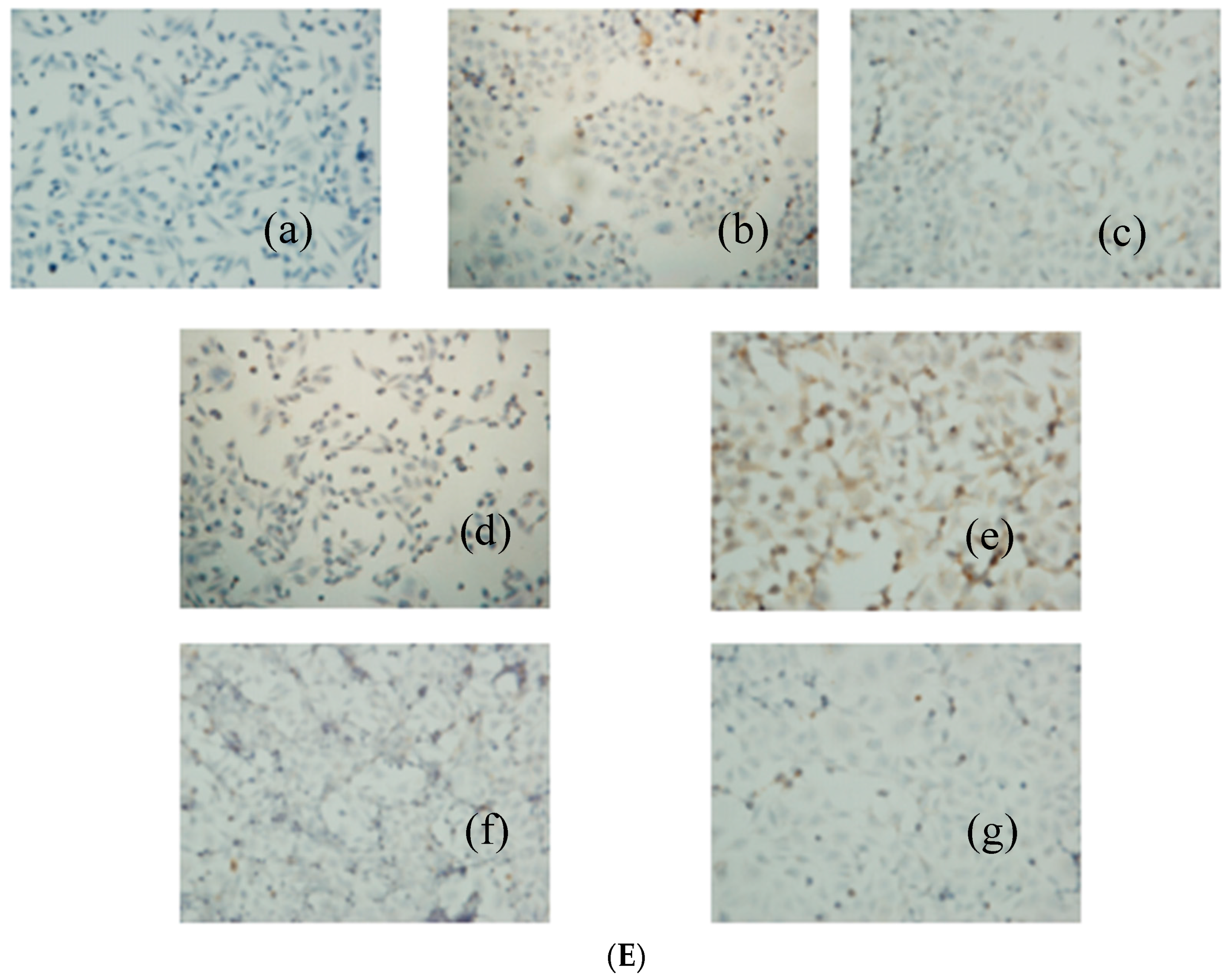 Molecules 21 00852 g006c