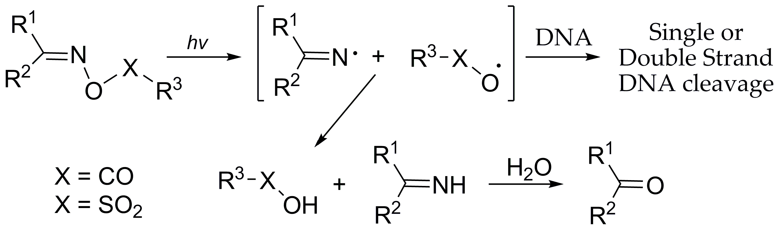 Molecules 21 00864 sch001