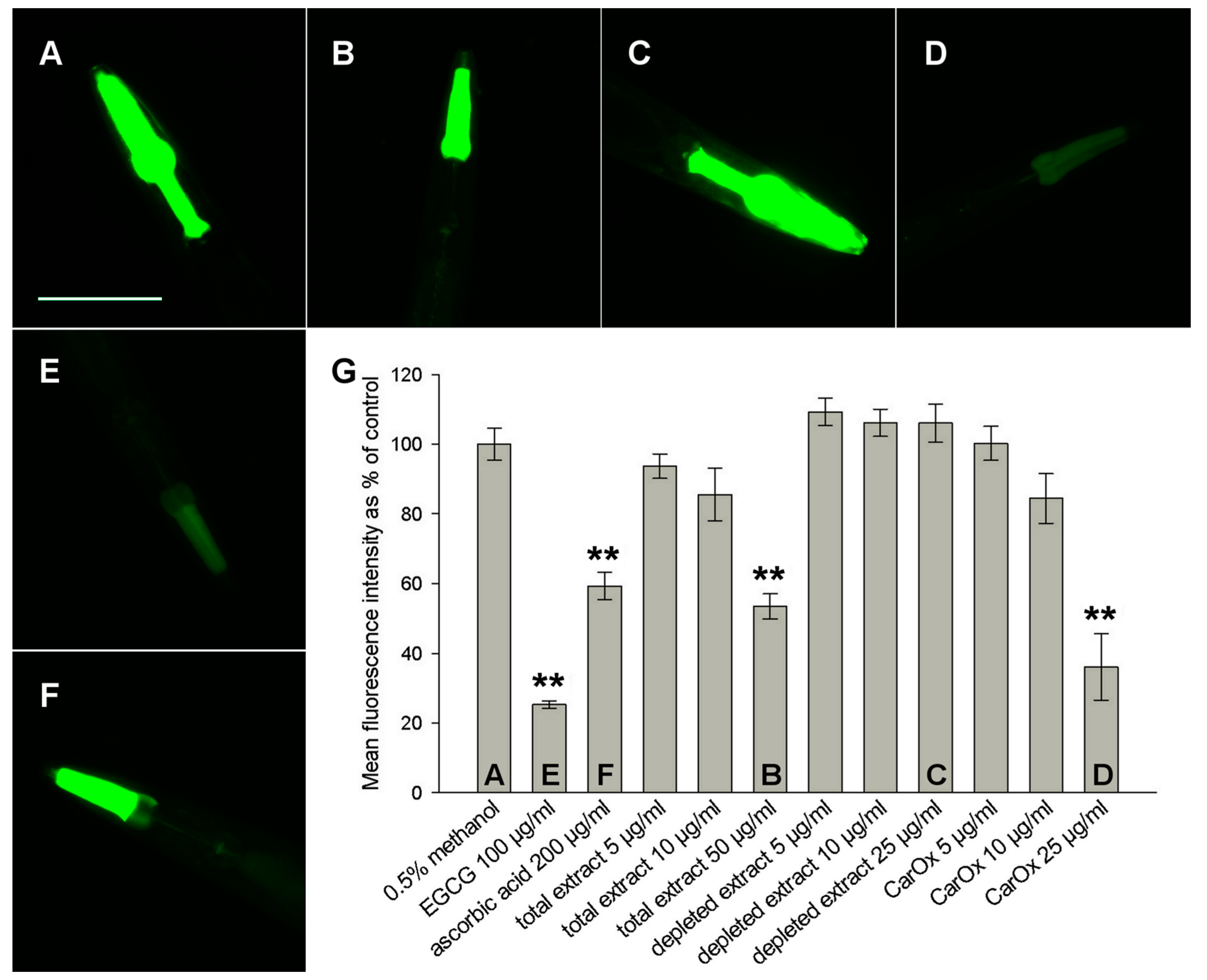 Molecules 21 00871 g002