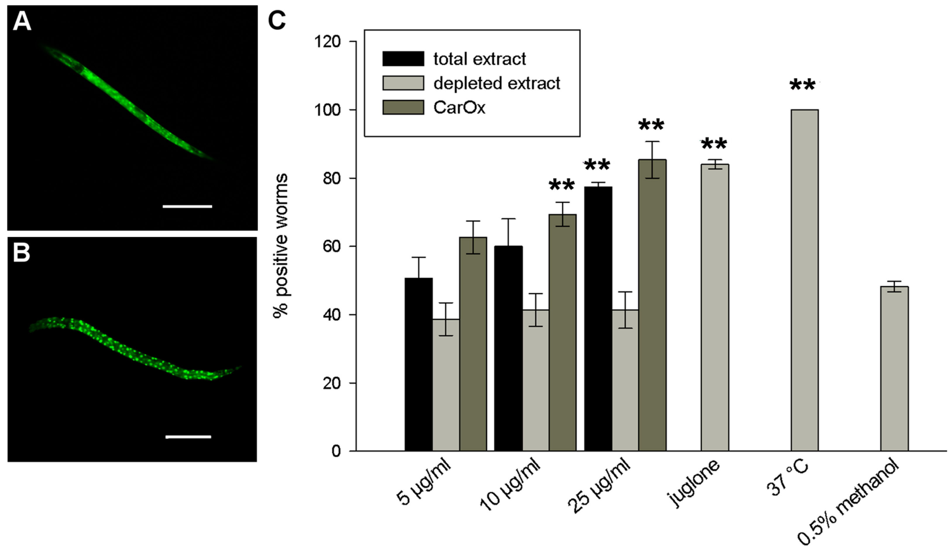 Molecules 21 00871 g003