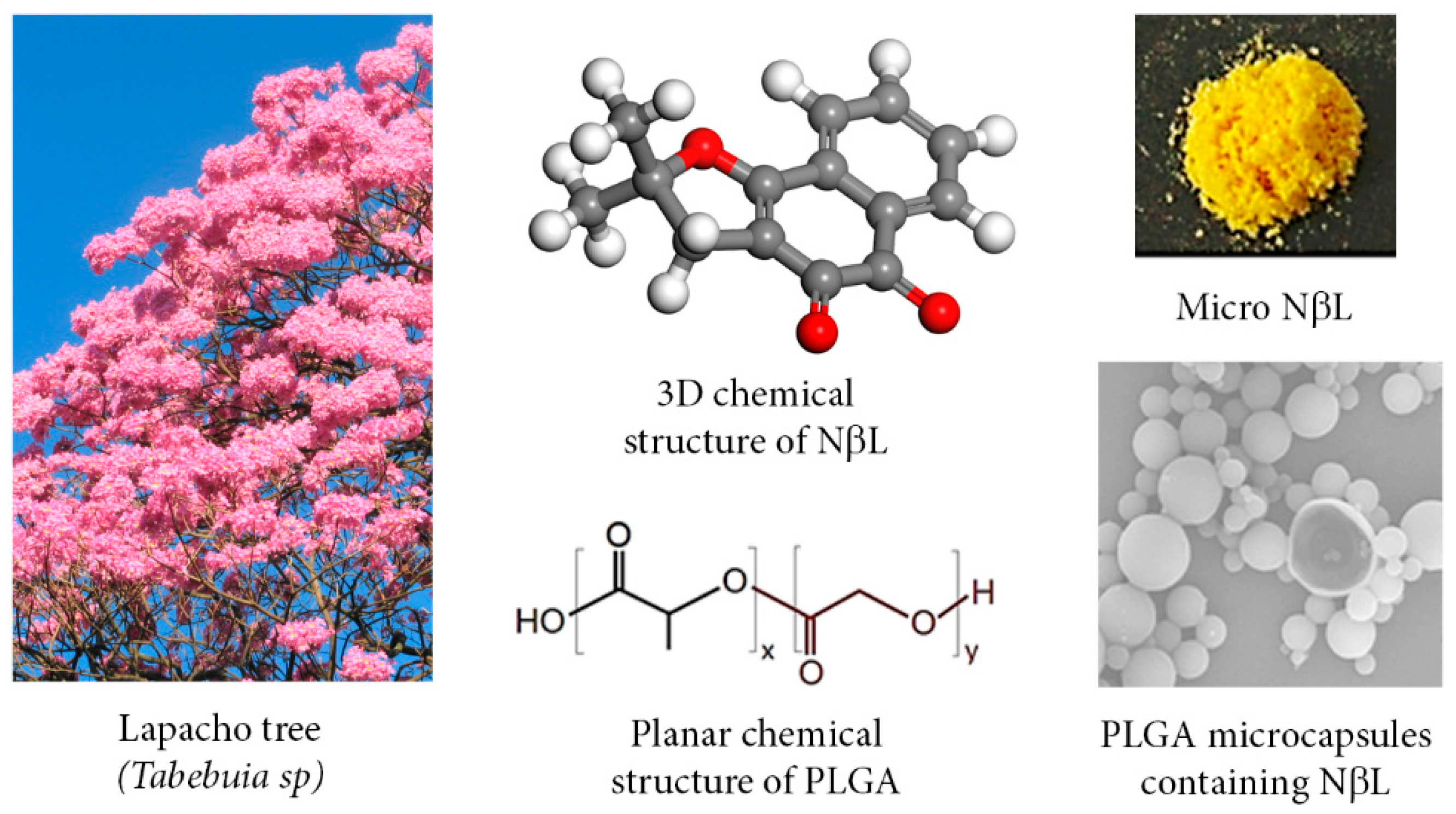 Molecules 21 00873 g001