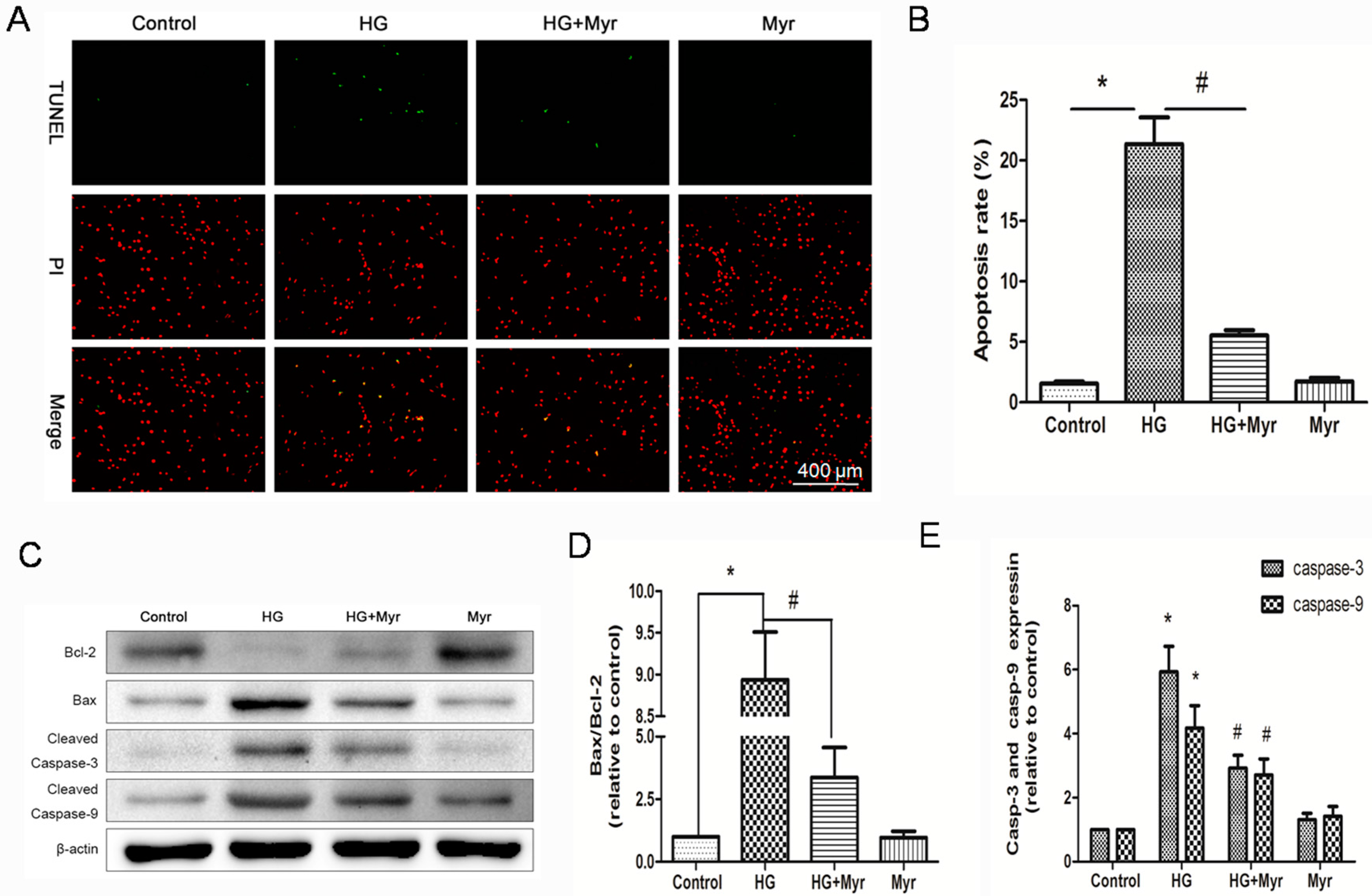 Molecules 21 00880 g004