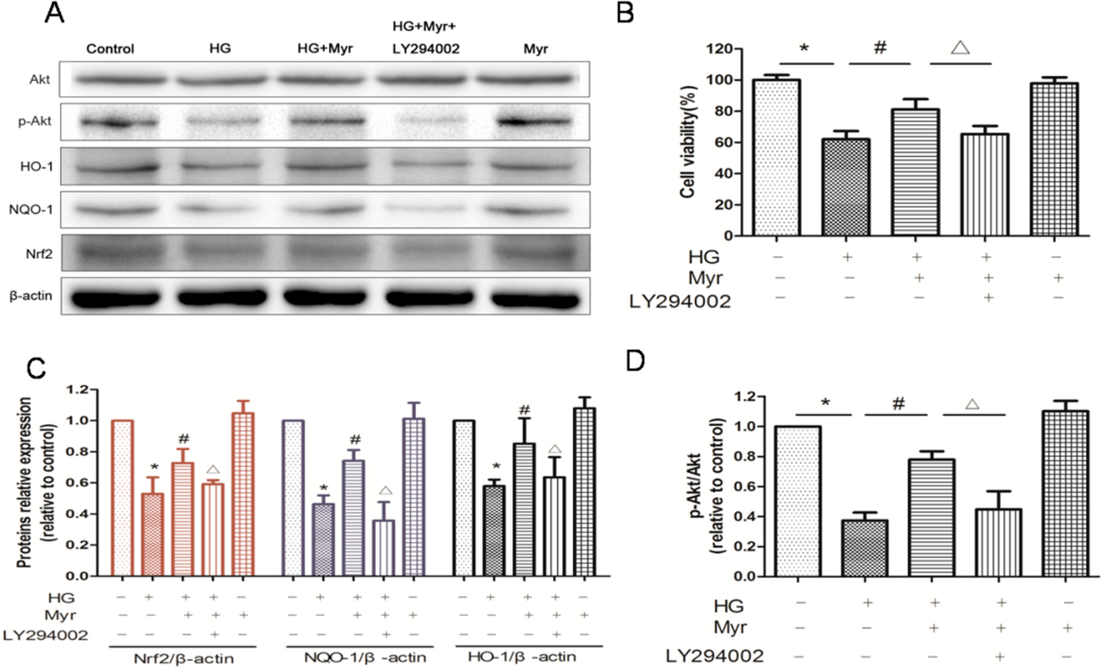 Molecules 21 00880 g005