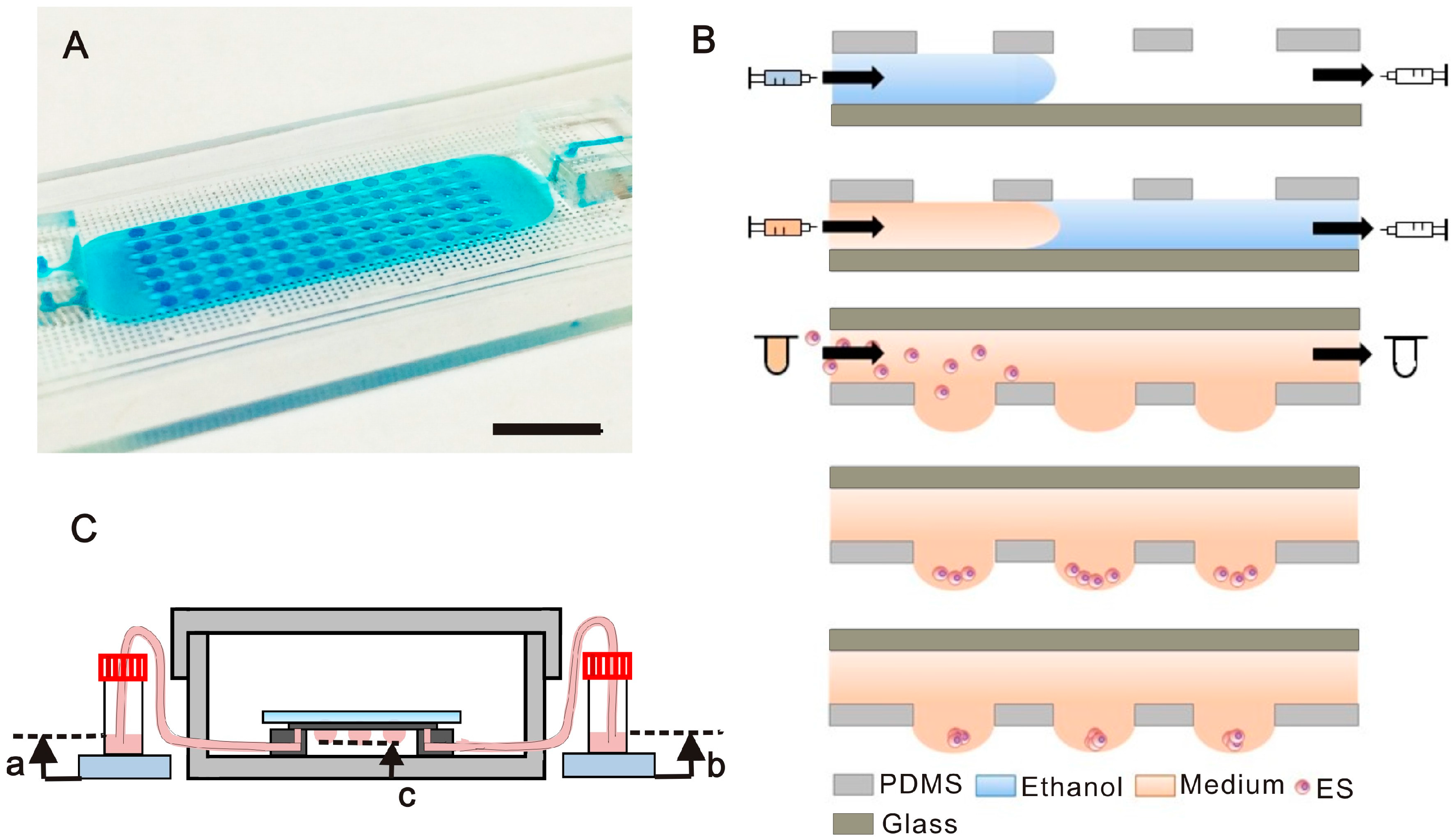 Molecules 21 00882 g001