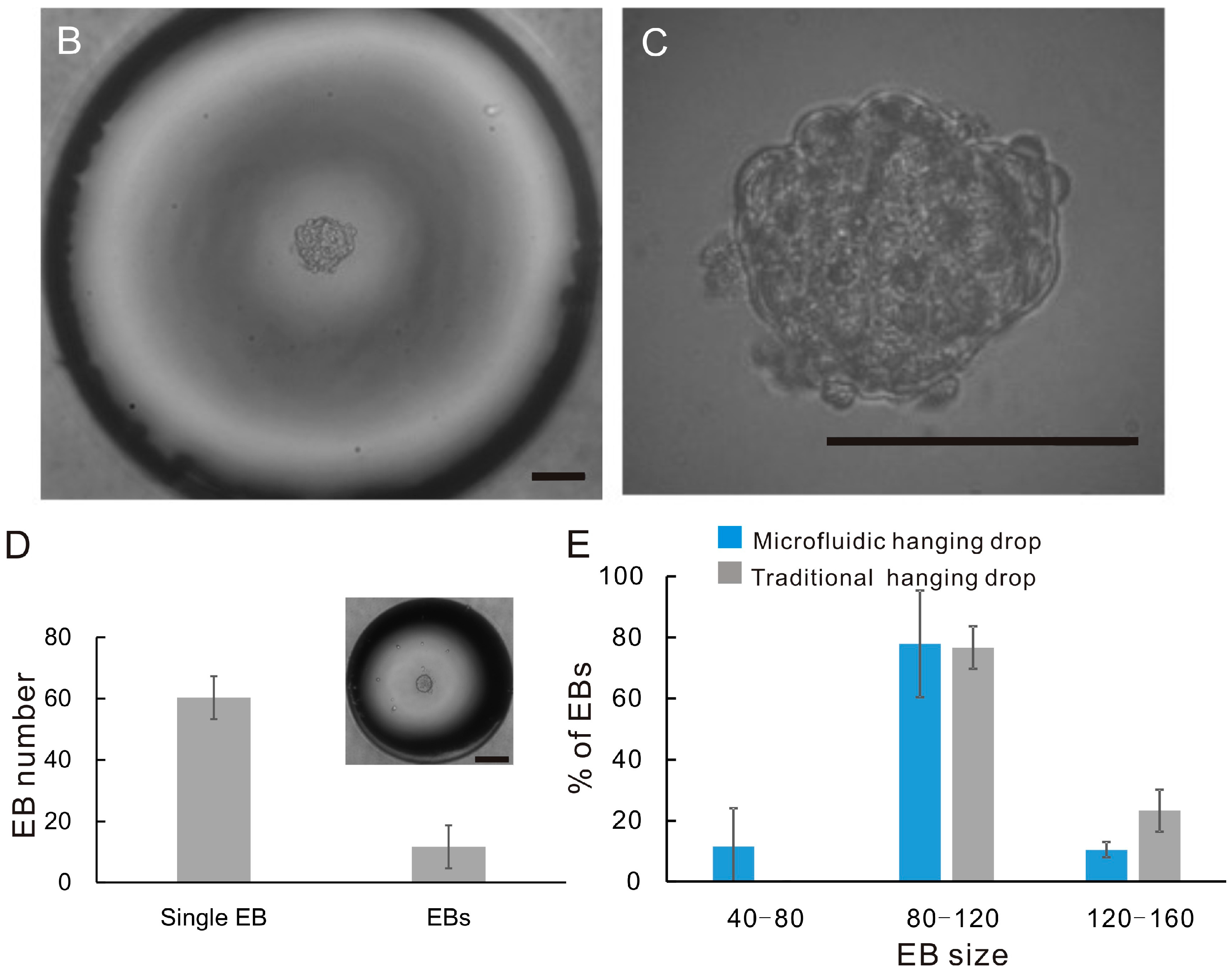 Molecules 21 00882 g004b