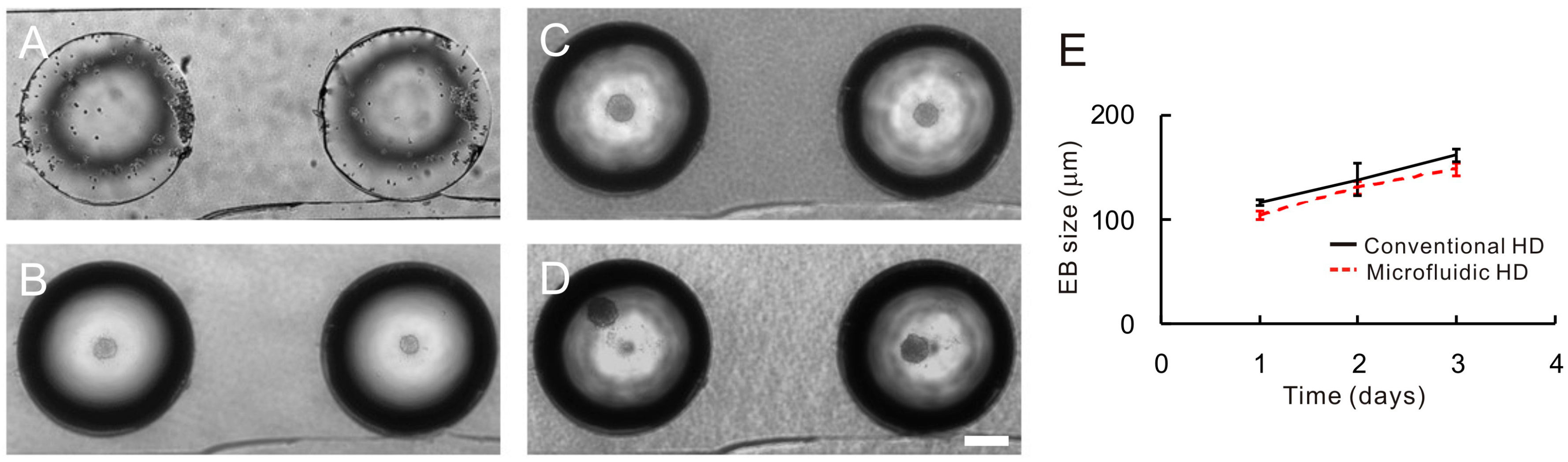 Molecules 21 00882 g005