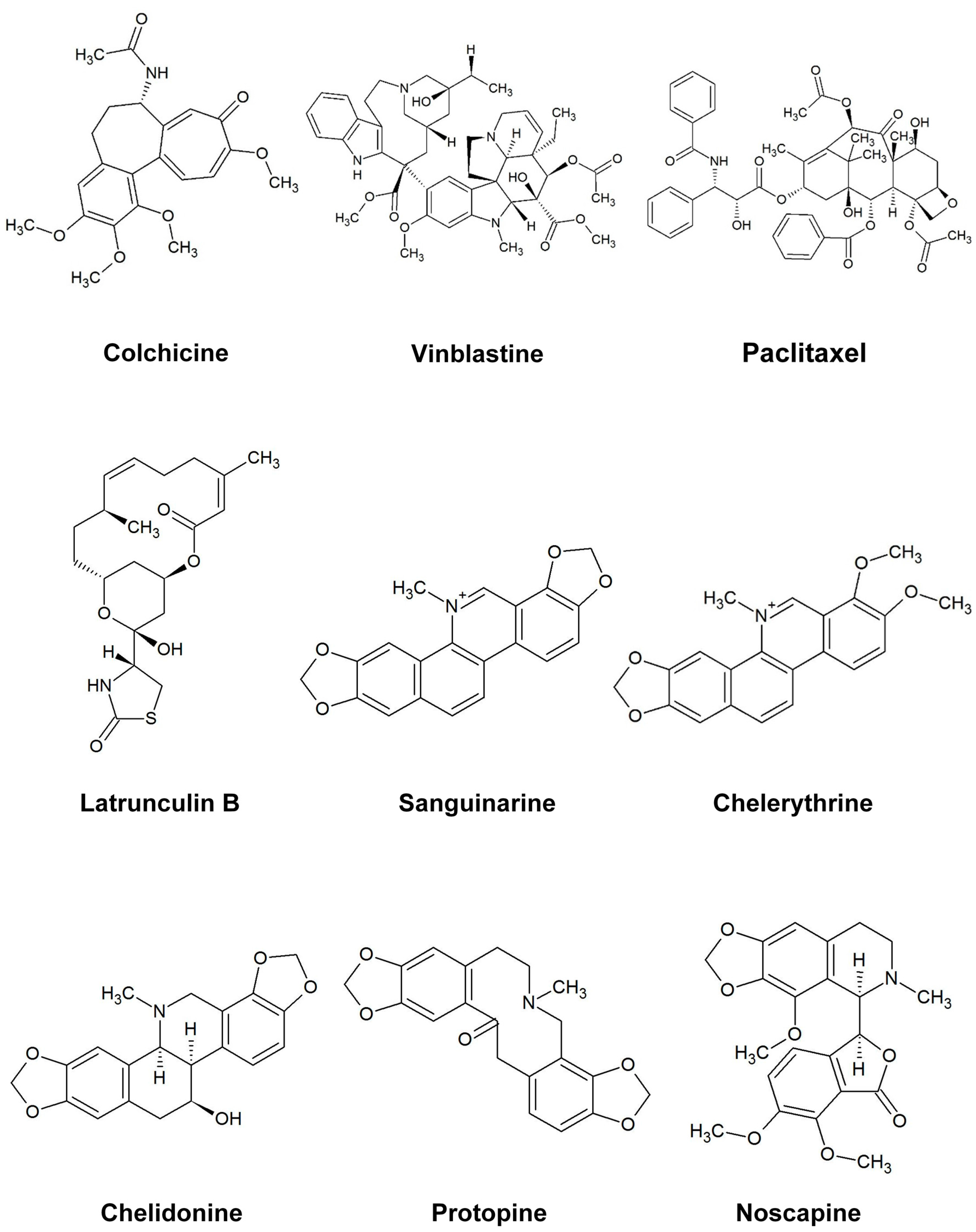 Molecules 21 00906 g001