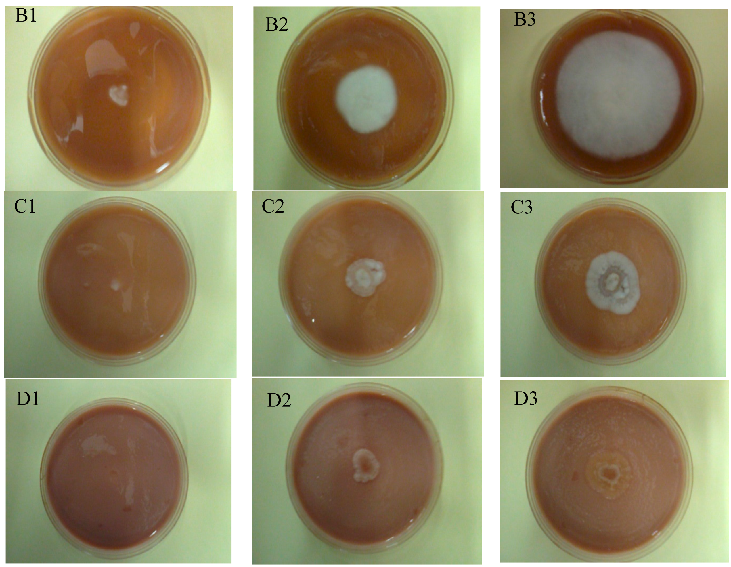 Molecules 21 00908 g003b