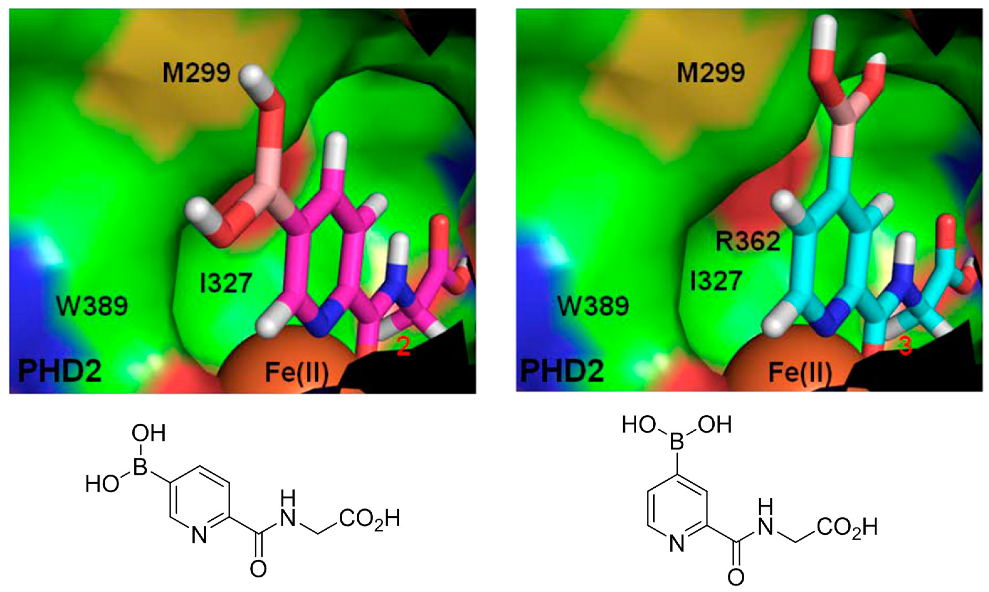 Molecules 21 00910 g002