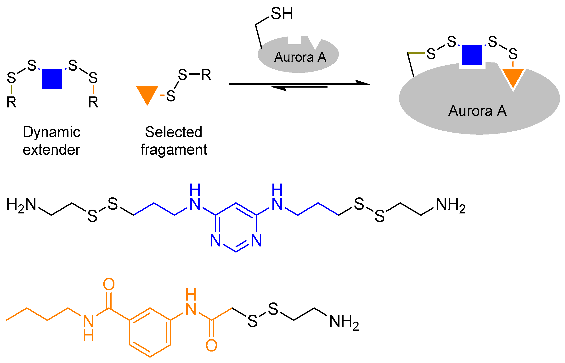 Molecules 21 00910 g005