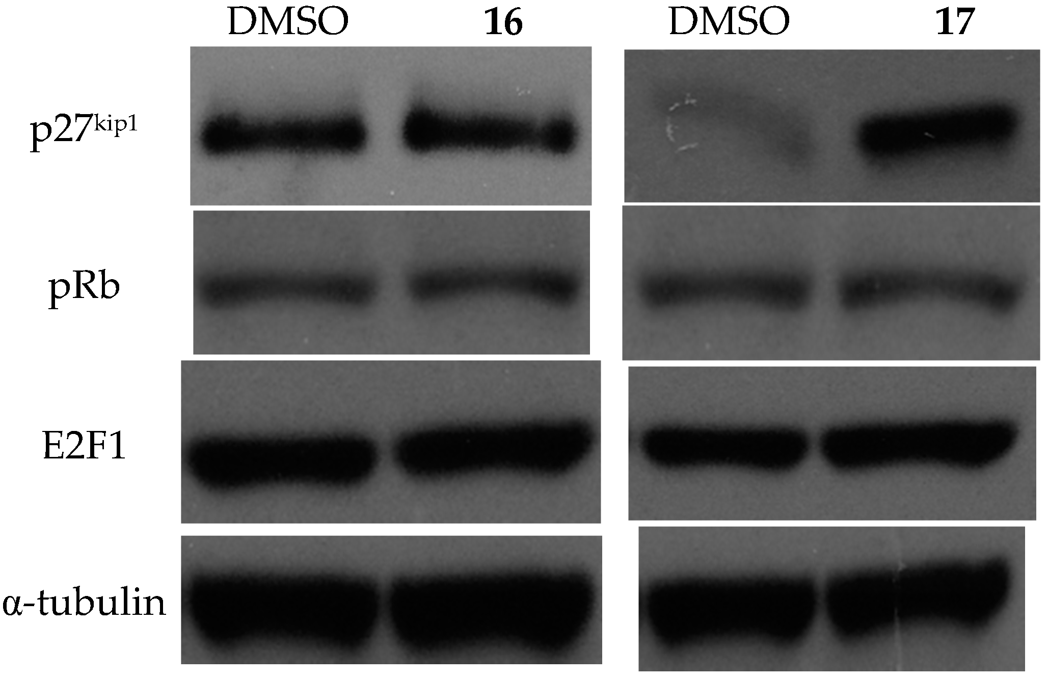 Molecules 21 00916 g008