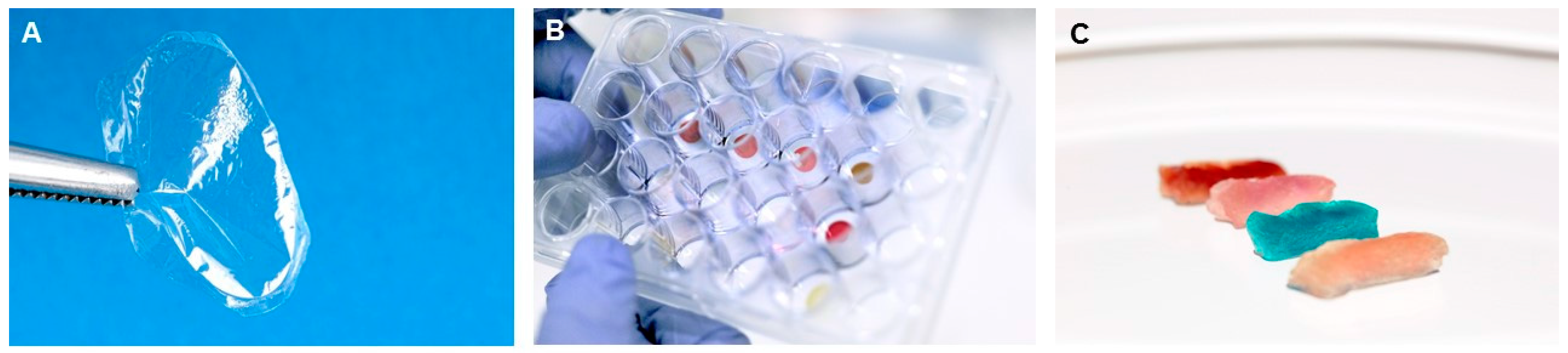 Molecules 21 00919 g001