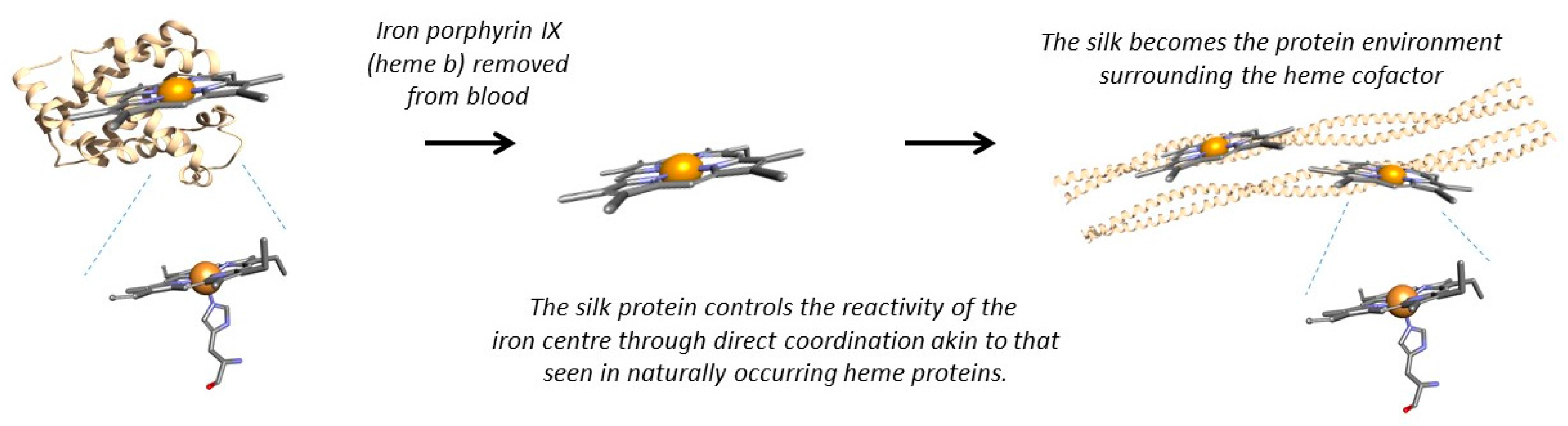 Molecules 21 00919 g002