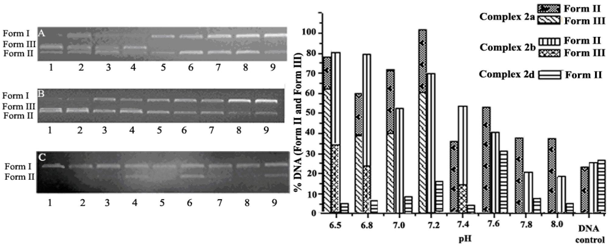 Molecules 21 00920 g004