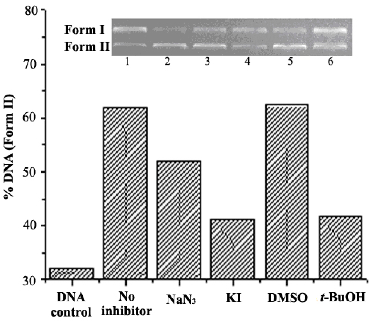 Molecules 21 00920 g010