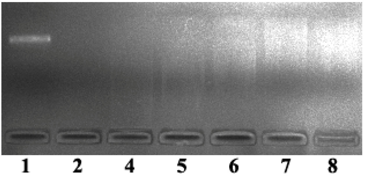 Molecules 21 00920 g012