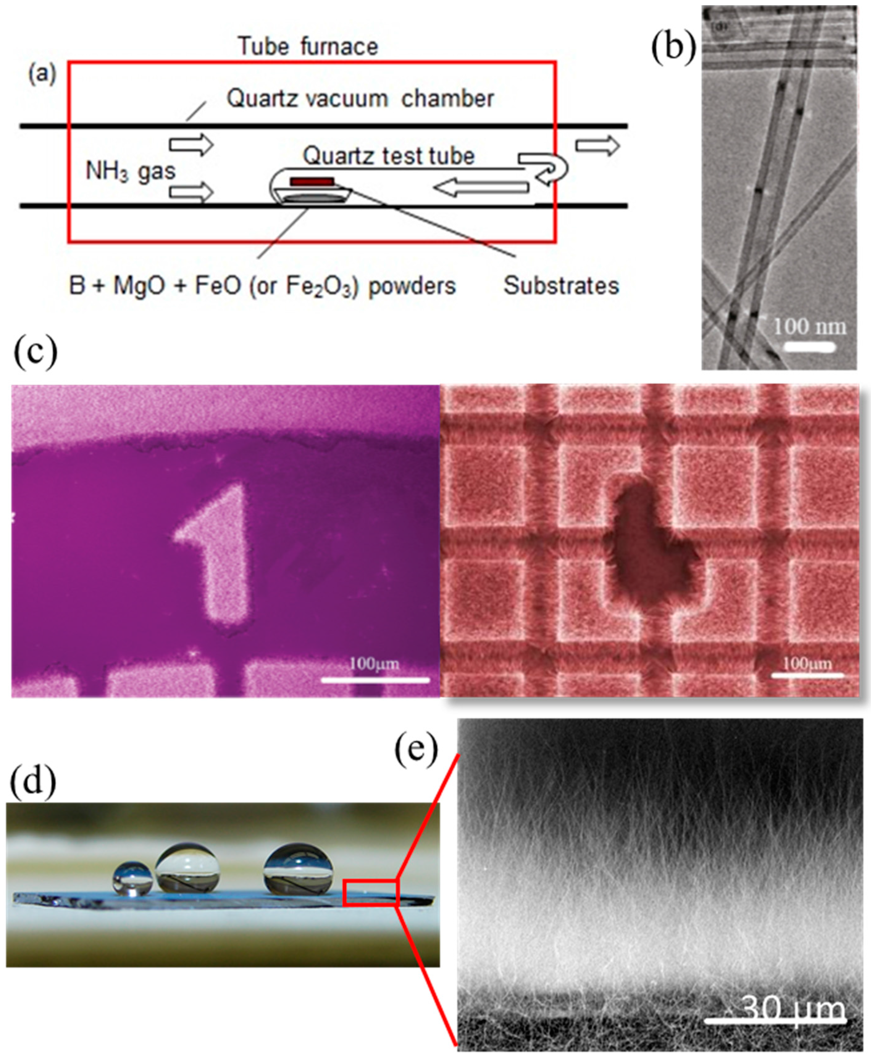 Molecules 21 00922 g001