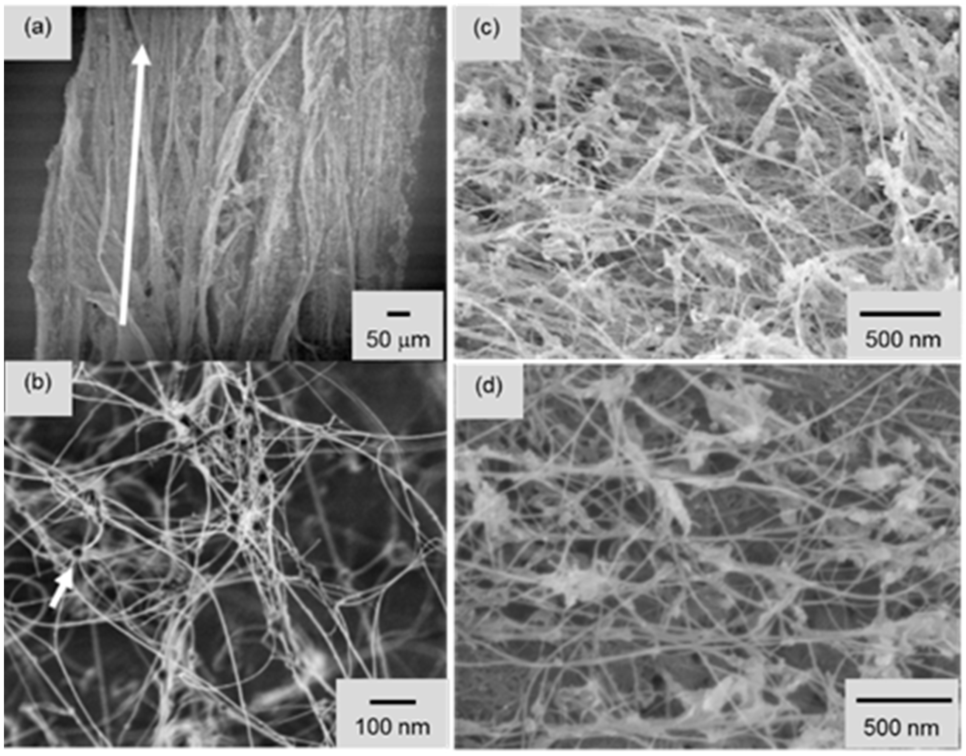 Molecules 21 00922 g002