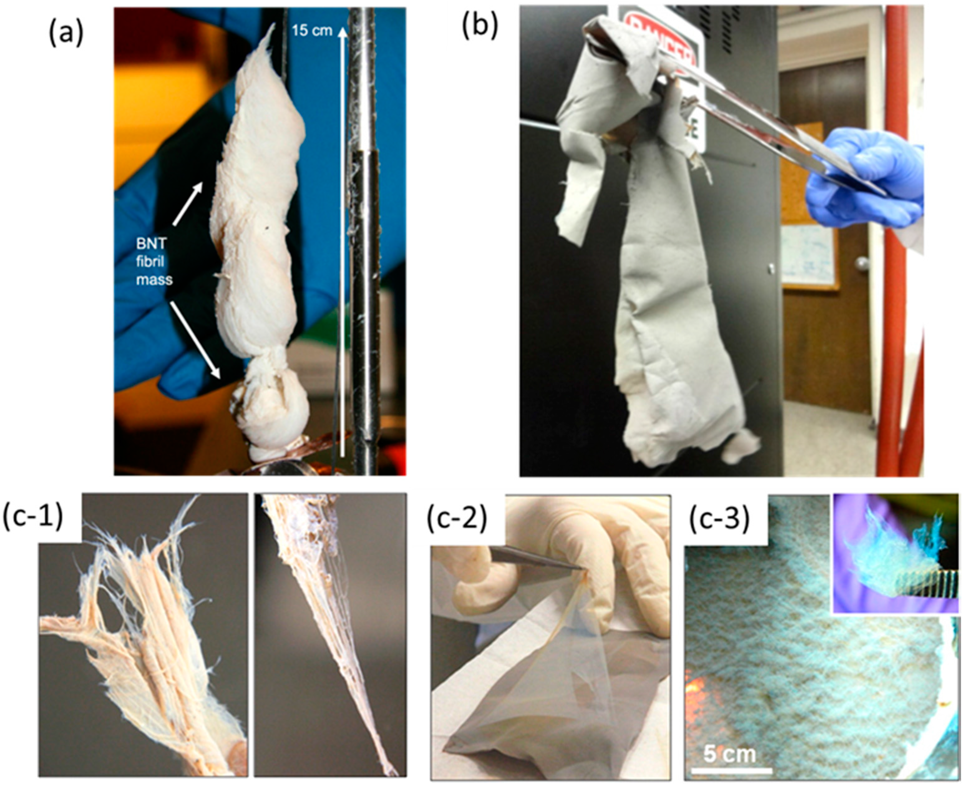 Molecules 21 00922 g003