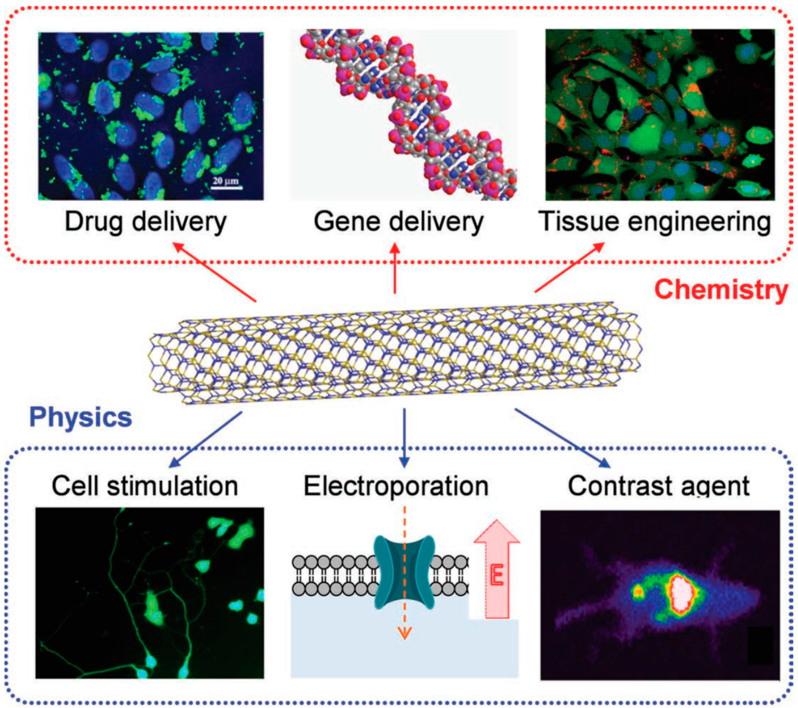 Molecules 21 00922 g005