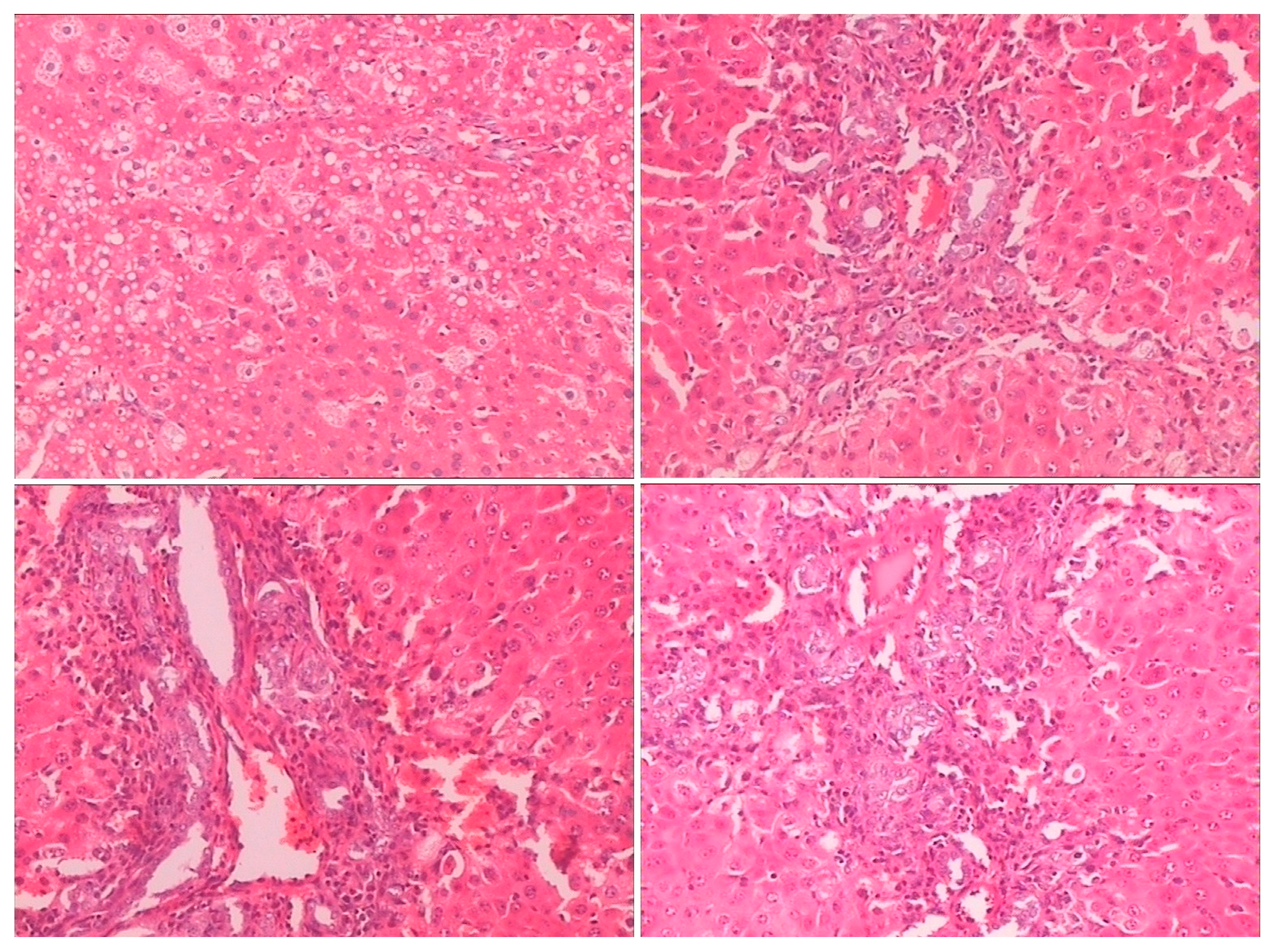Molecules 21 00923 g003