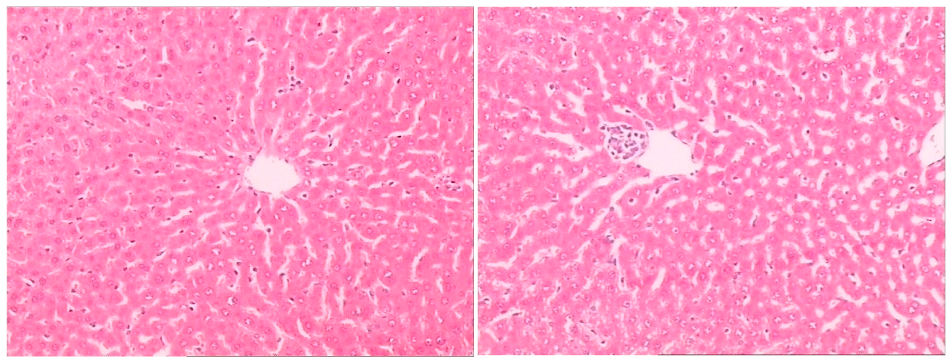 Molecules 21 00923 g004