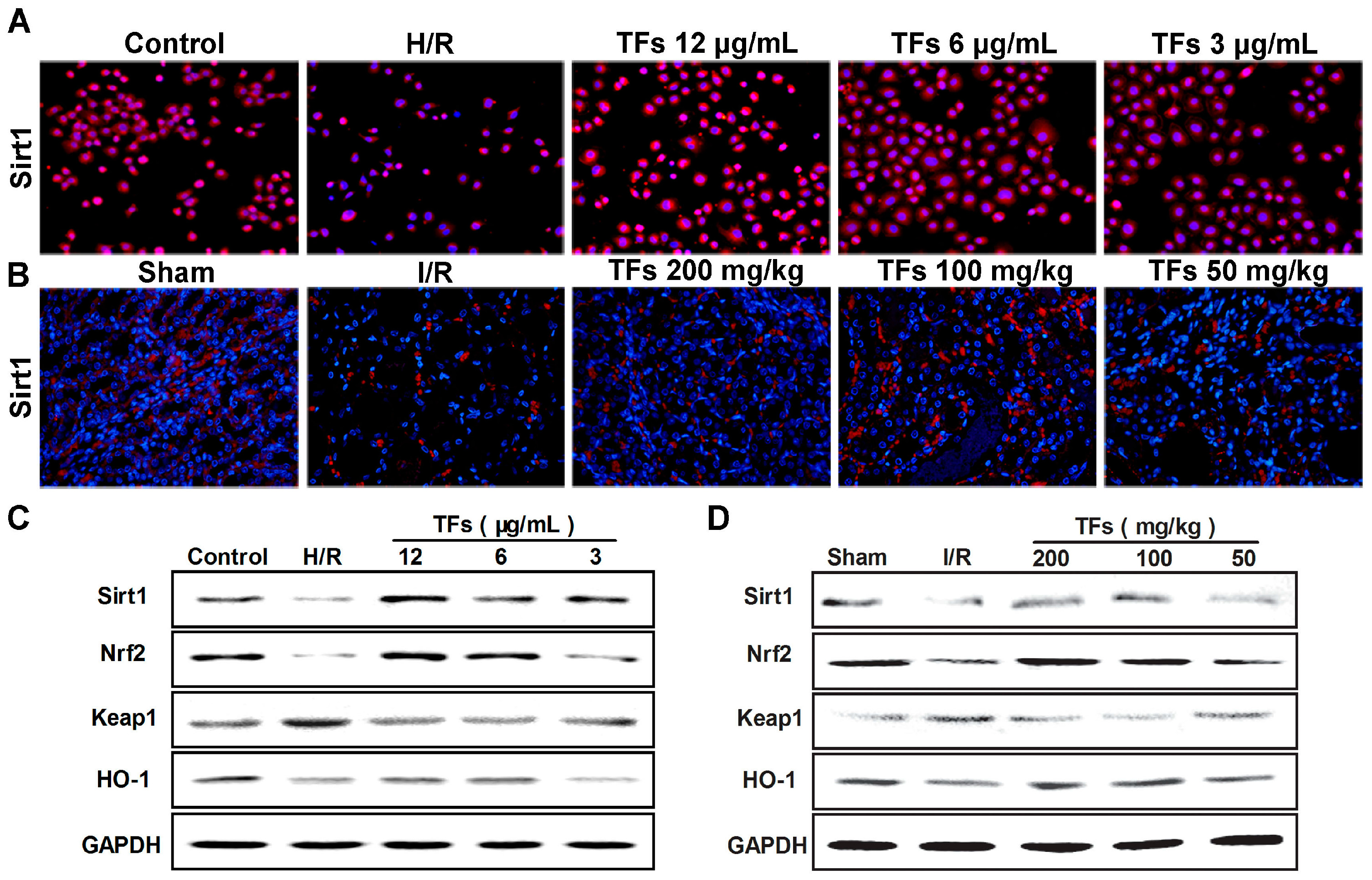 Molecules 21 00952 g003