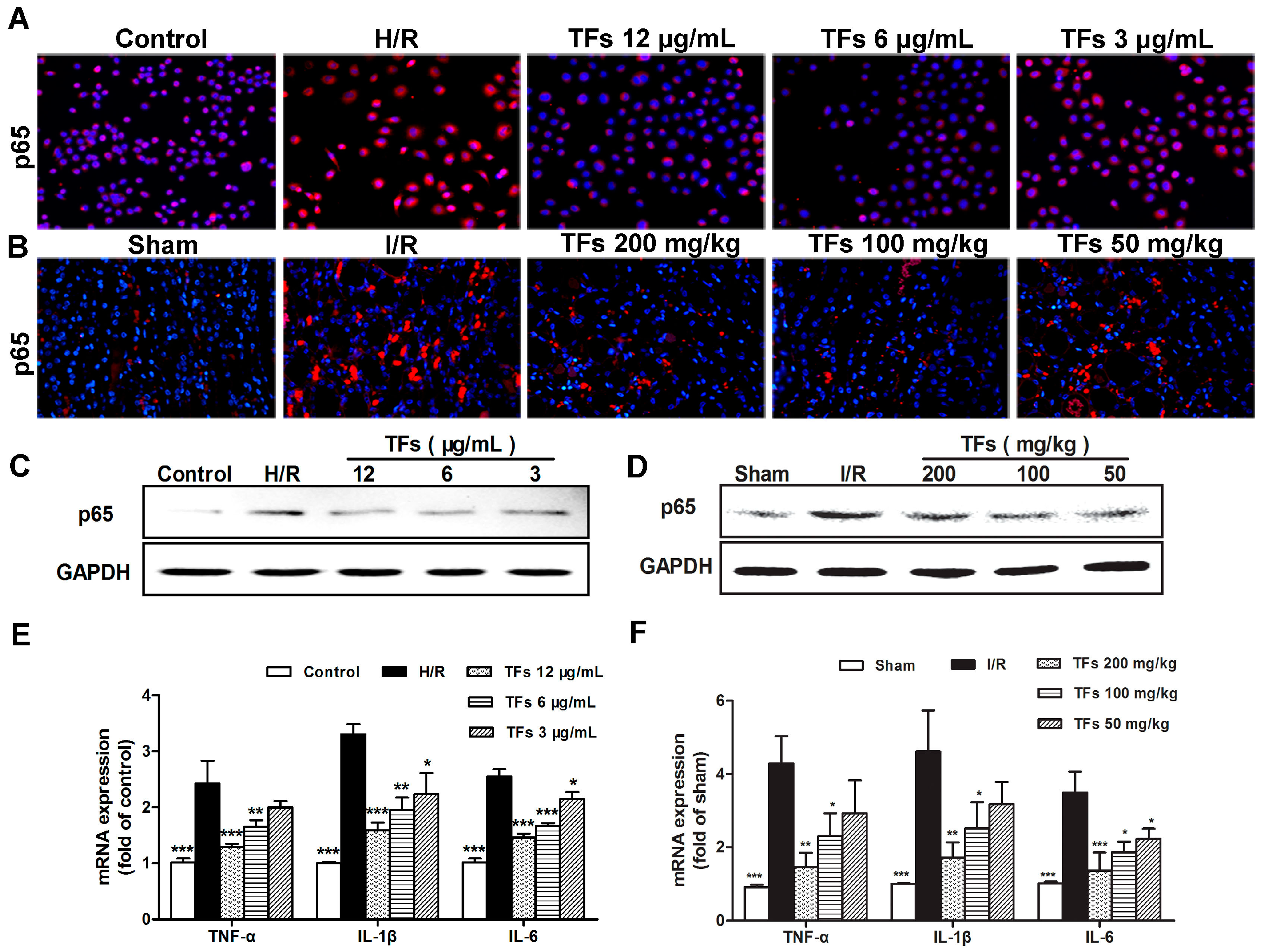 Molecules 21 00952 g004