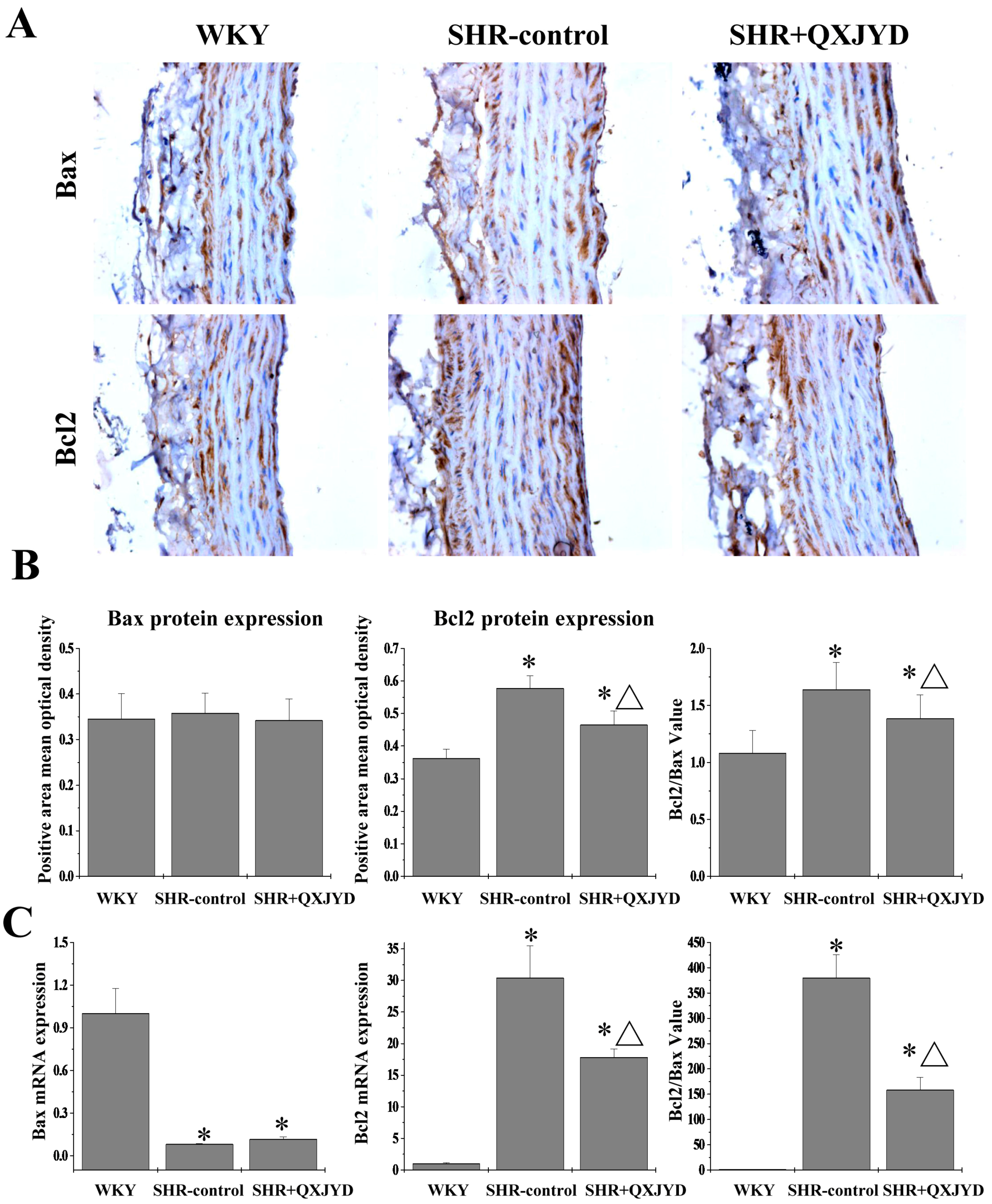 Molecules 21 00956 g005