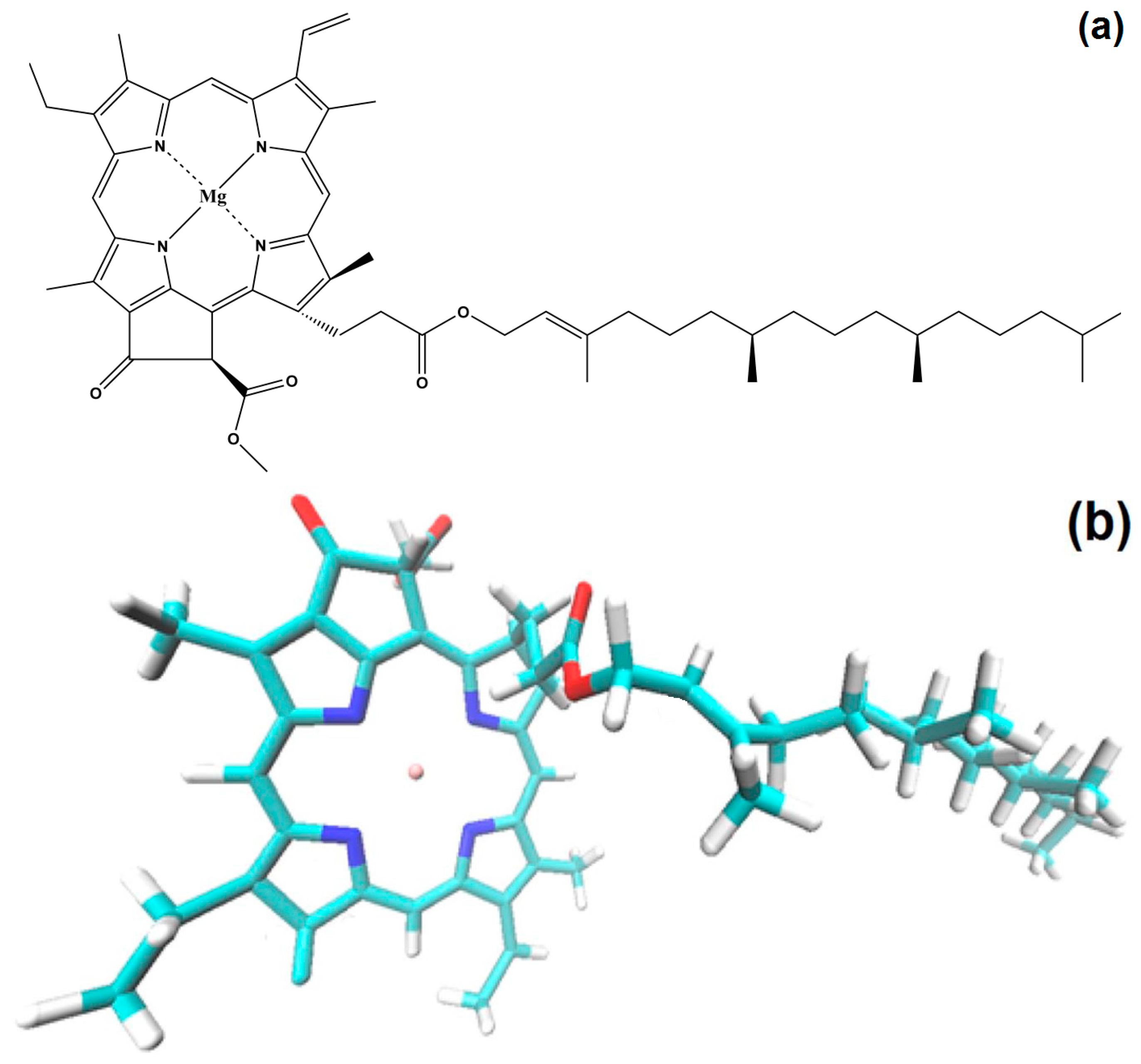 Molecules 21 00961 g001