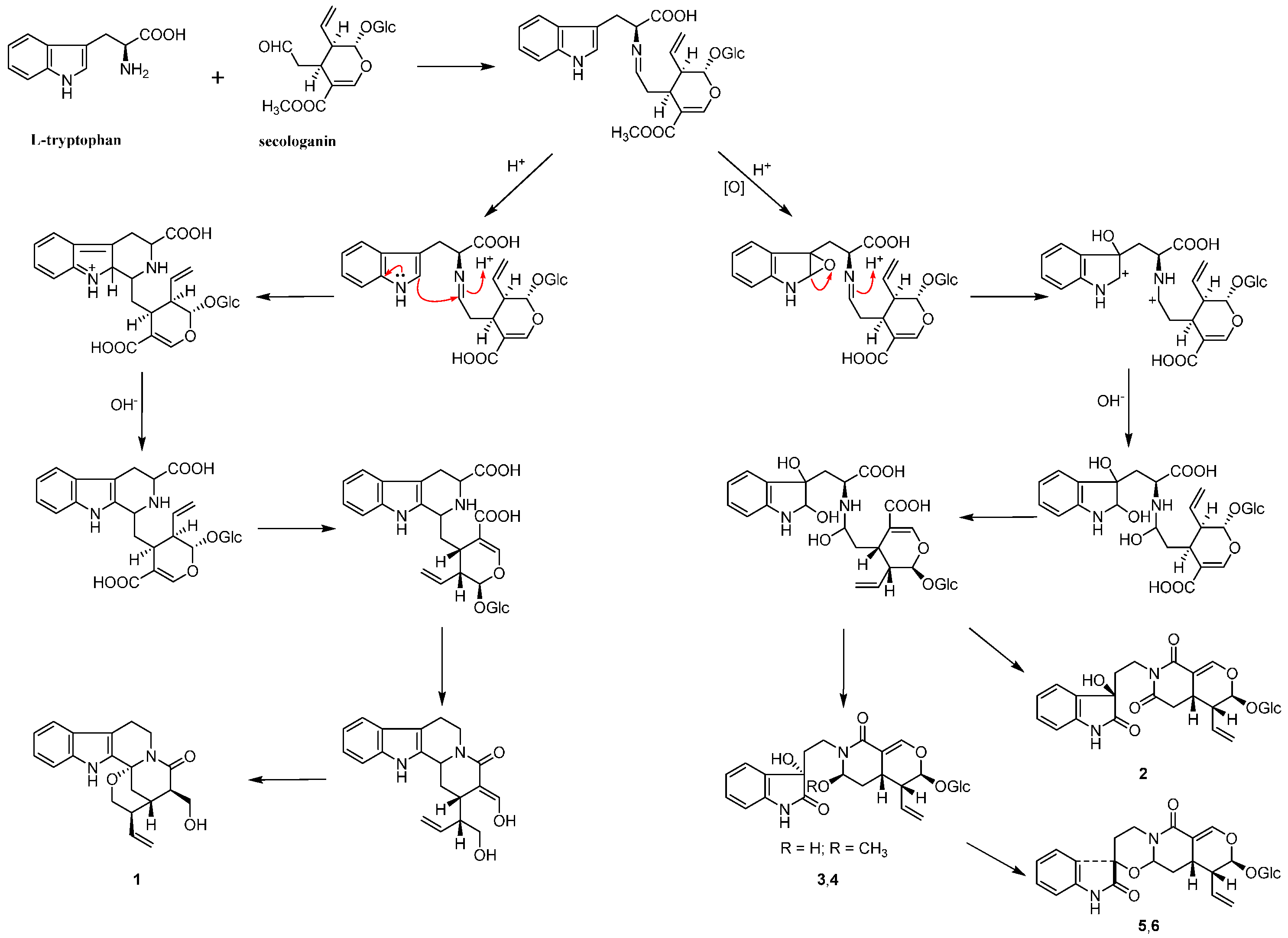 Molecules 21 00968 sch001