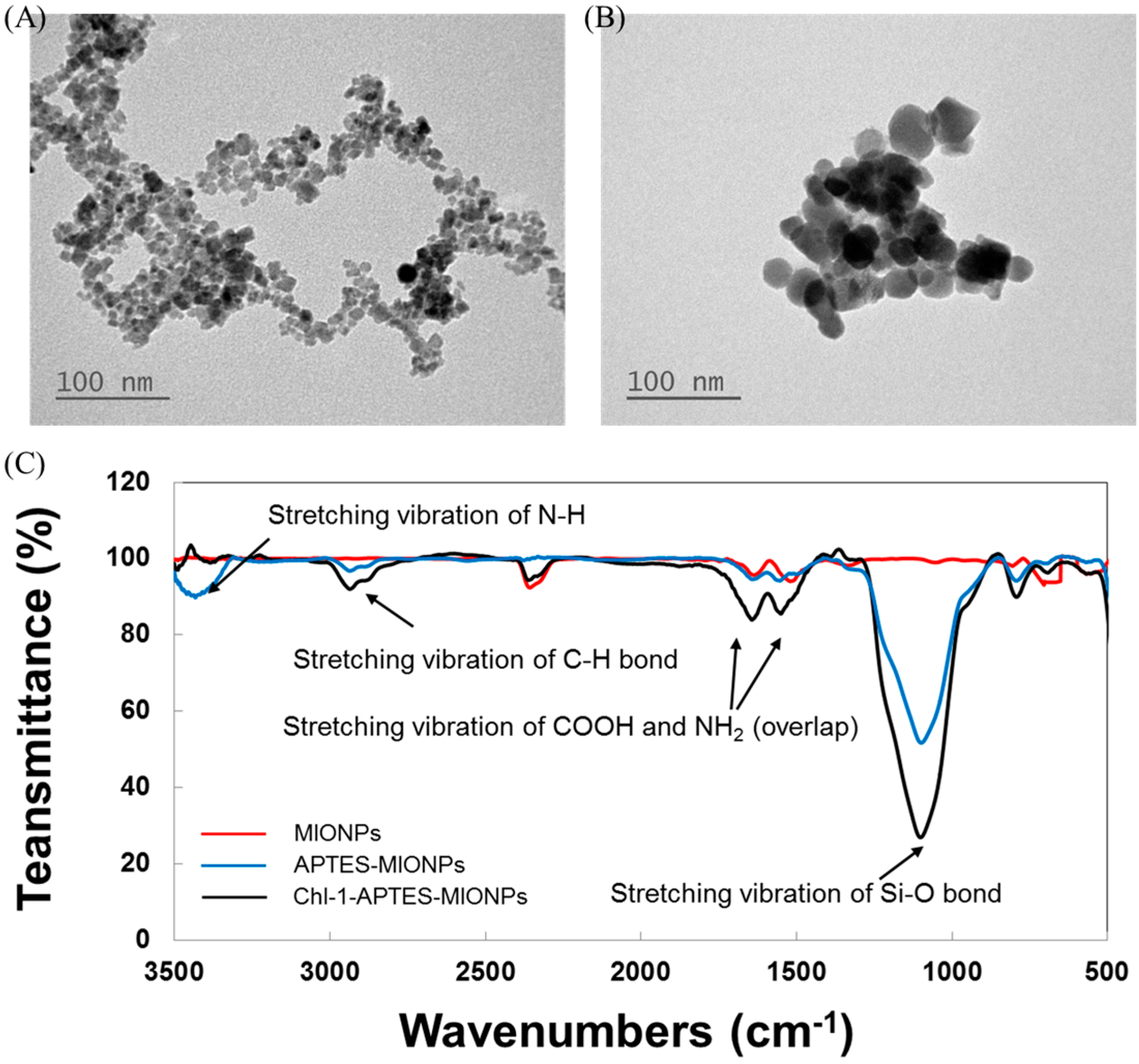 Molecules 21 00972 g002