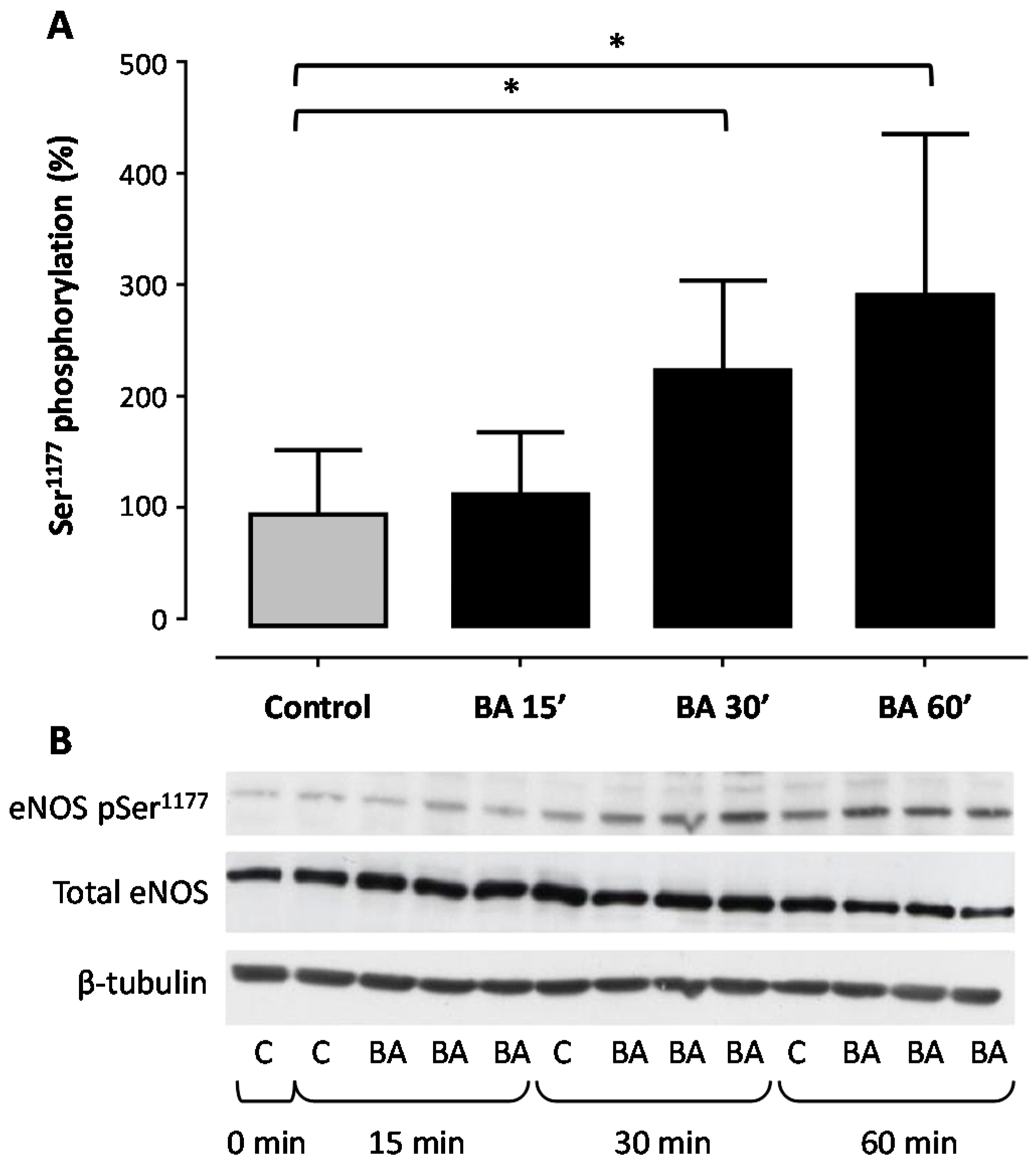 Molecules 21 00973 g003