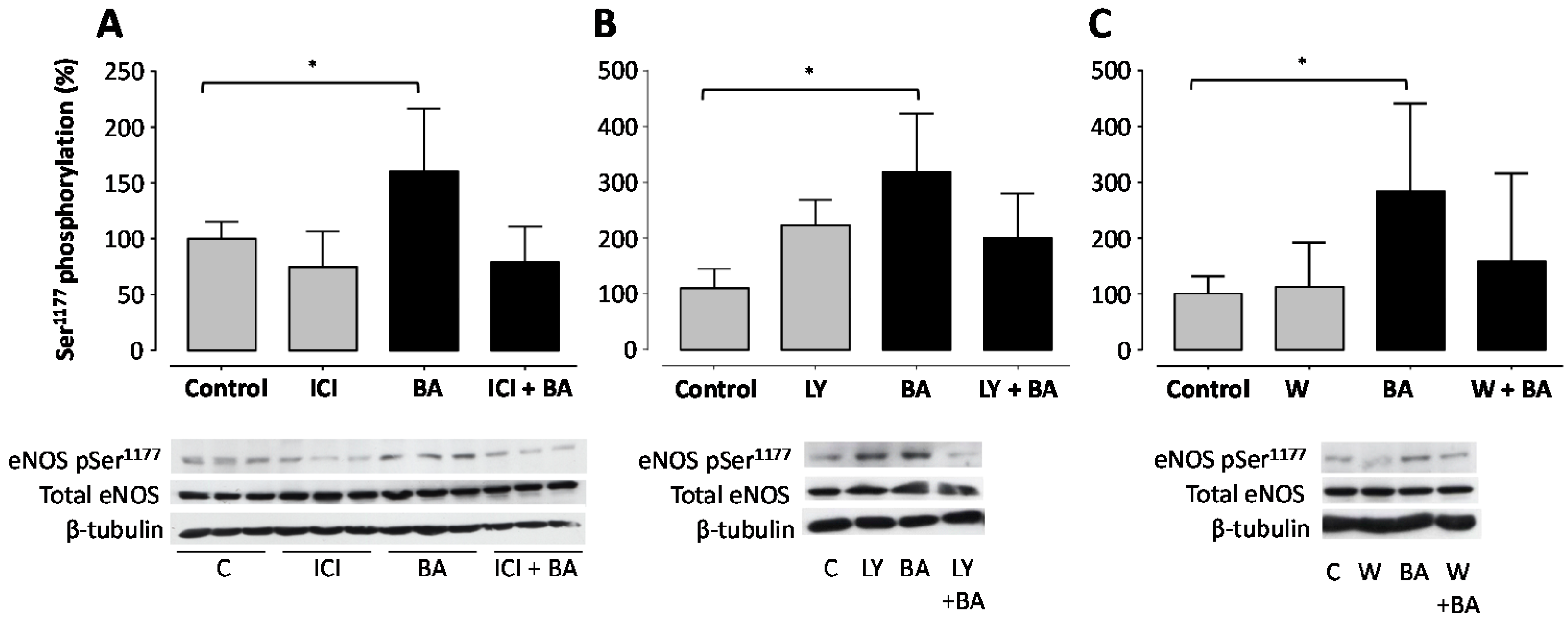 Molecules 21 00973 g004