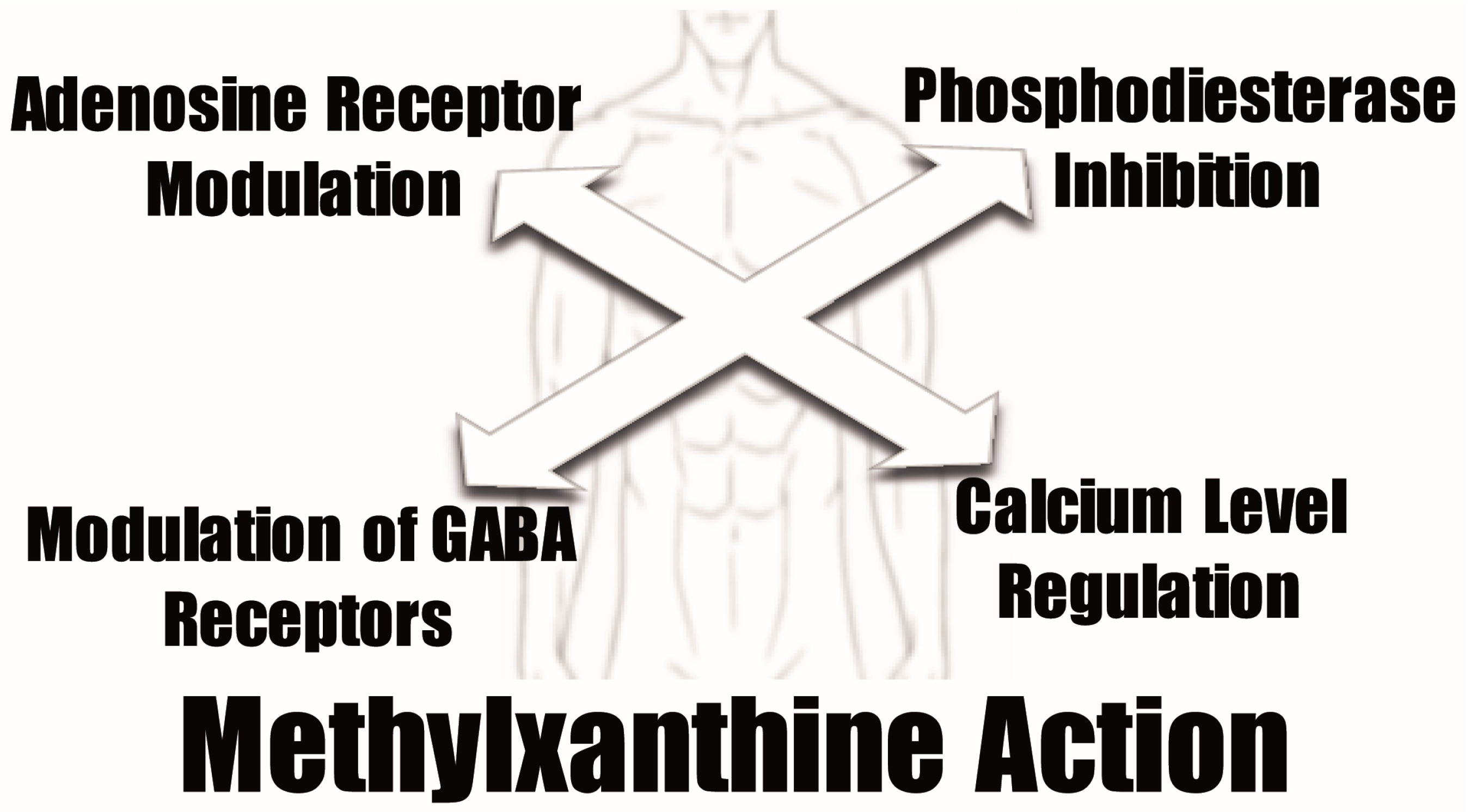 Molecules 21 00974 g003
