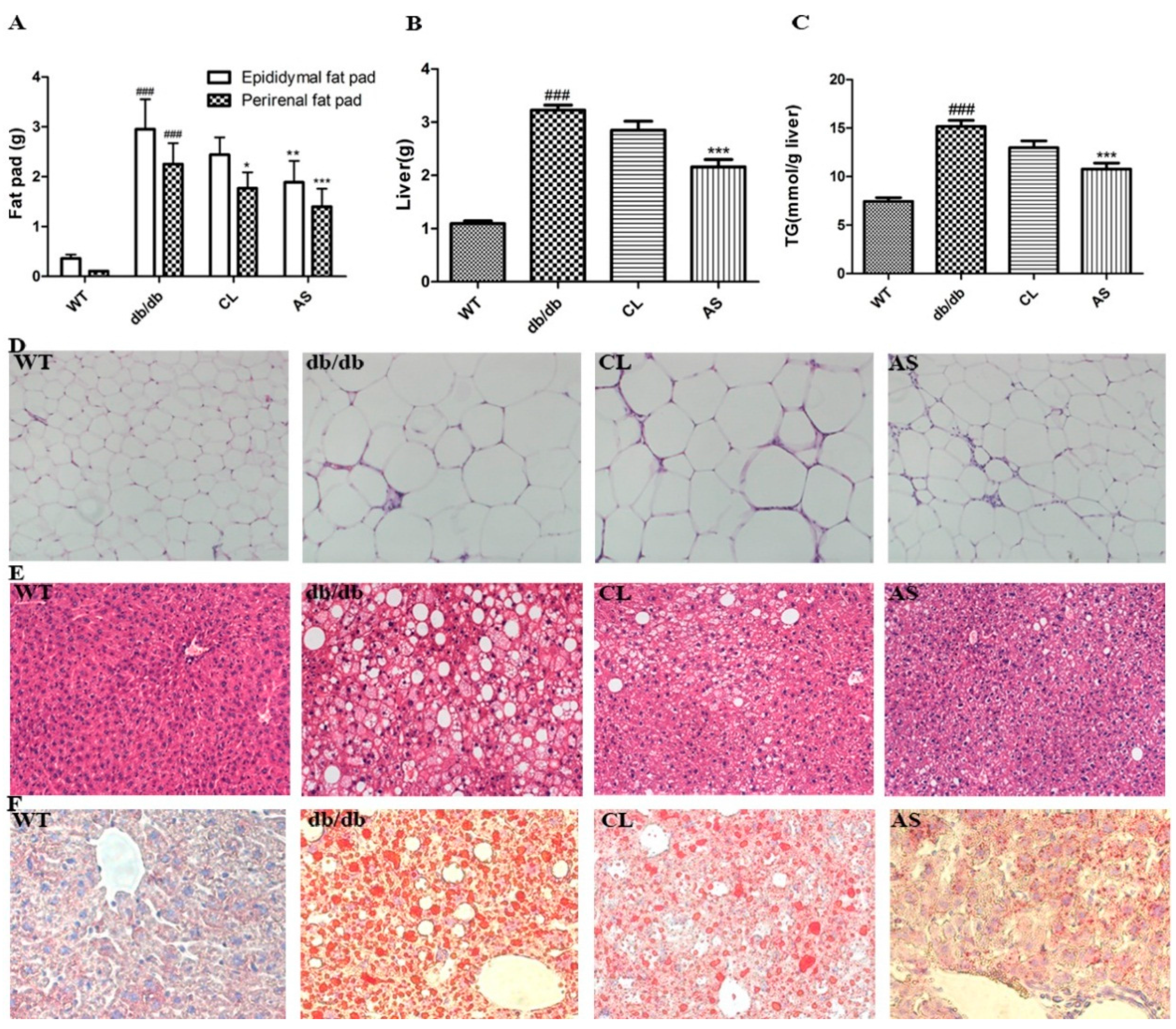 Molecules 21 00976 g004