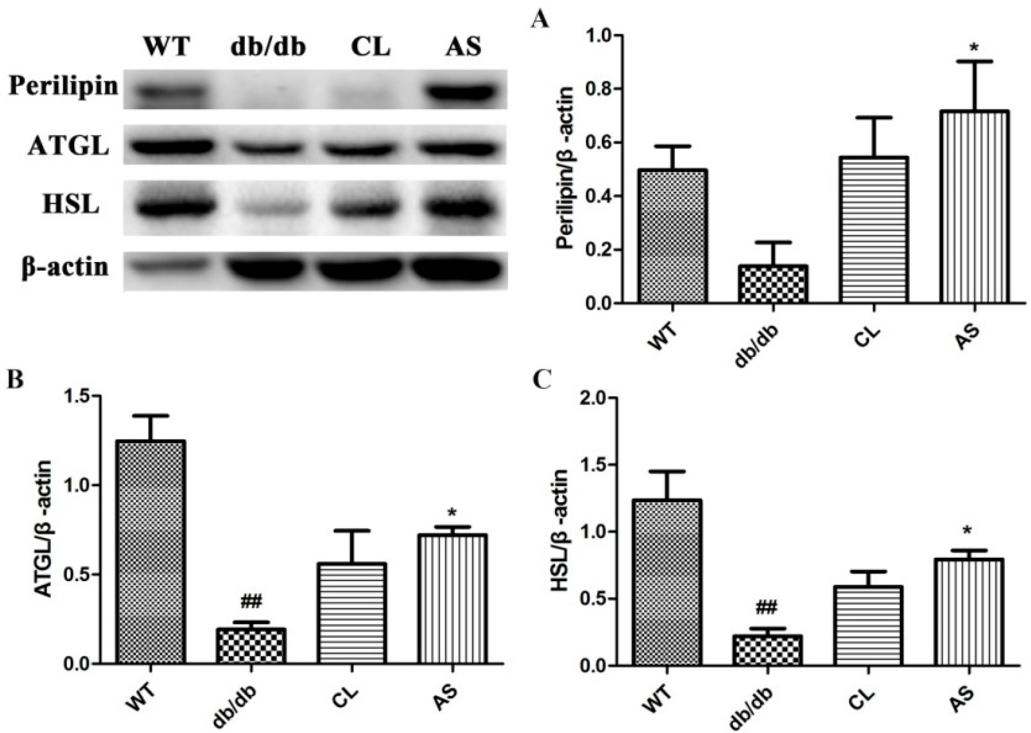 Molecules 21 00976 g005