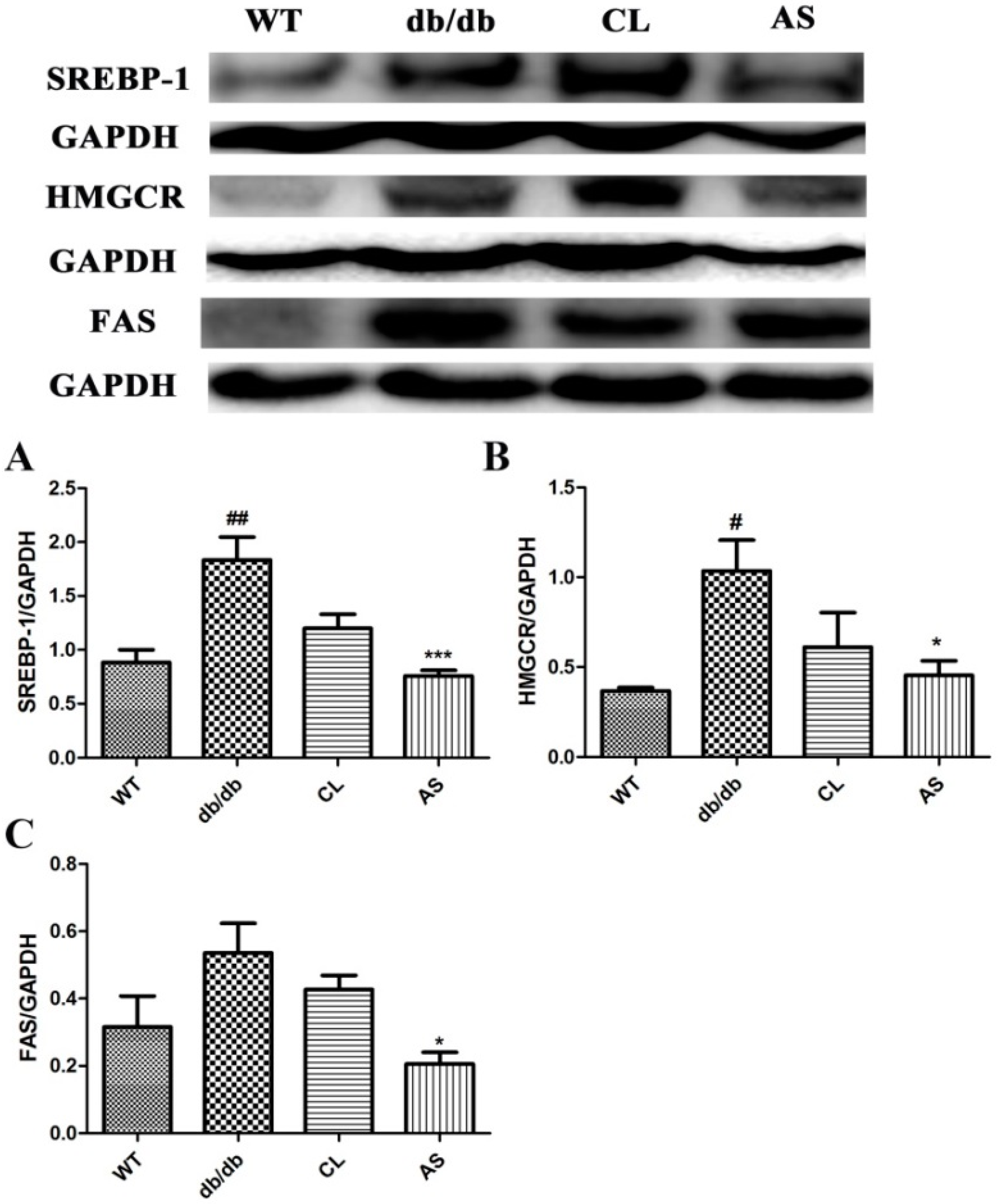 Molecules 21 00976 g006