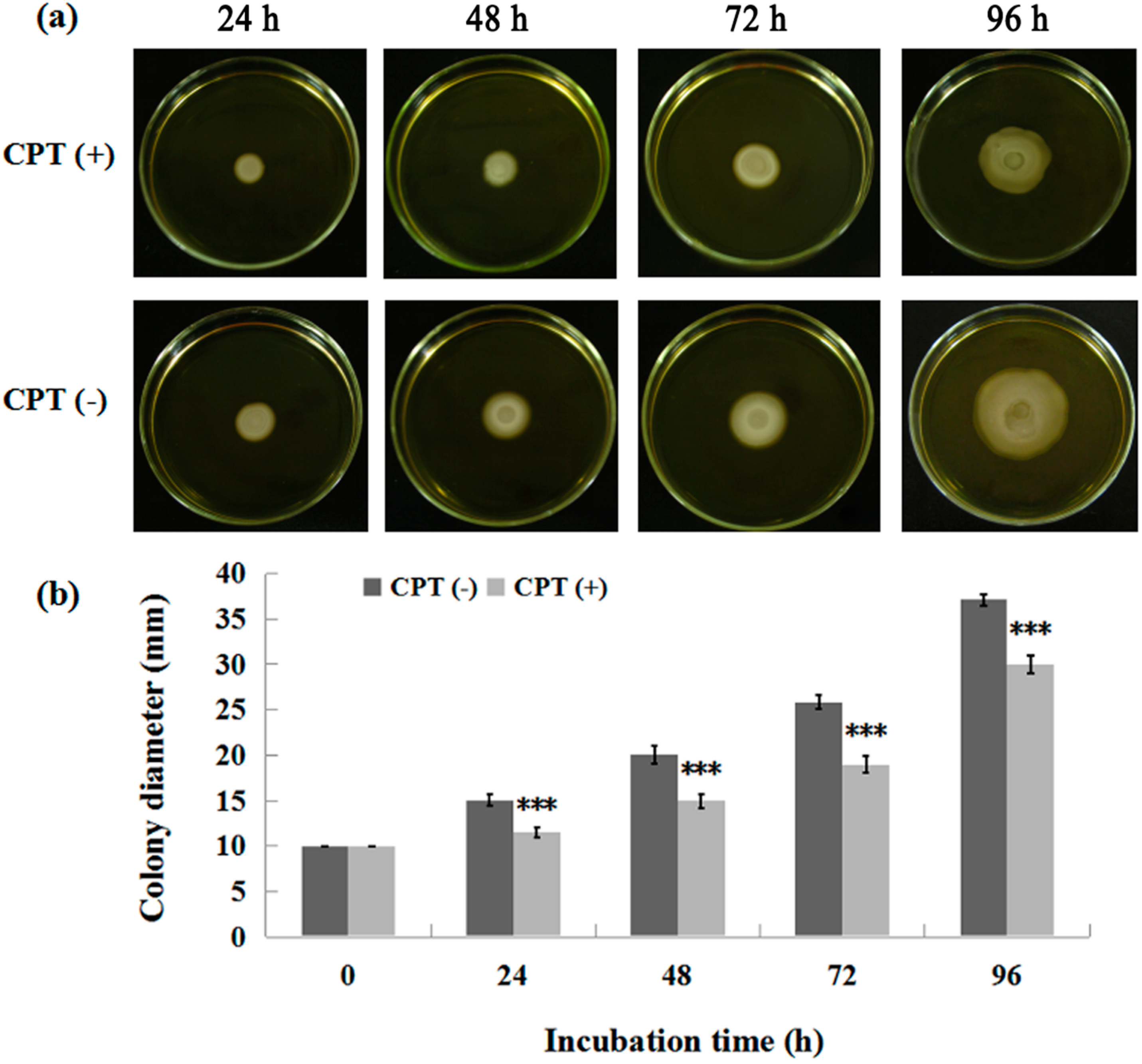 Molecules 21 00978 g004