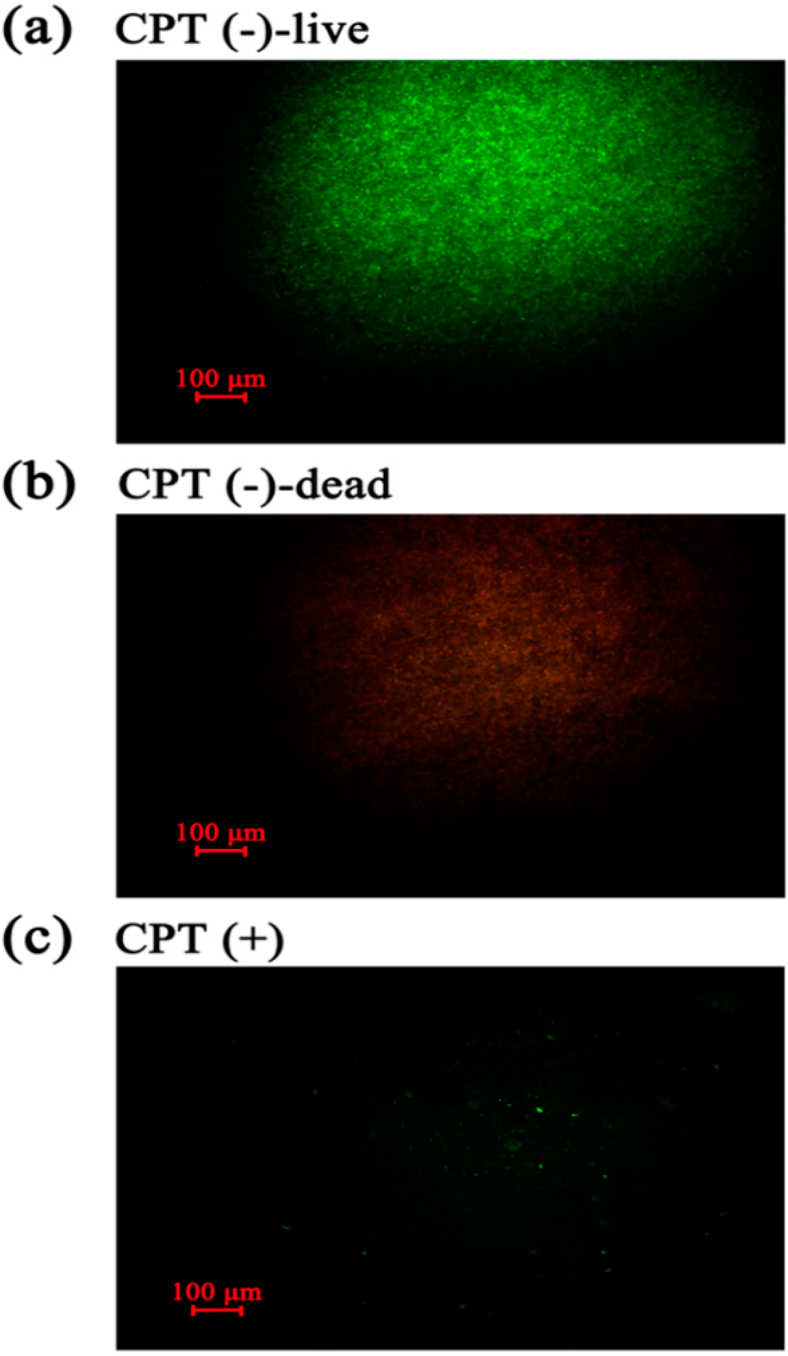 Molecules 21 00978 g005