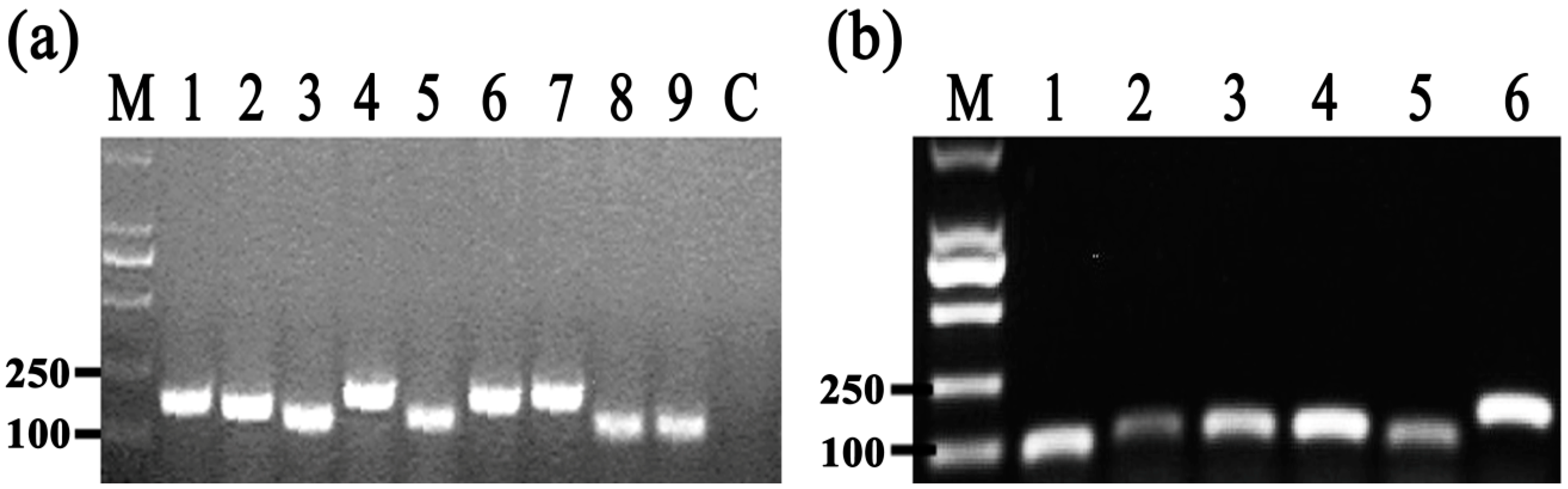 Molecules 21 00978 g008