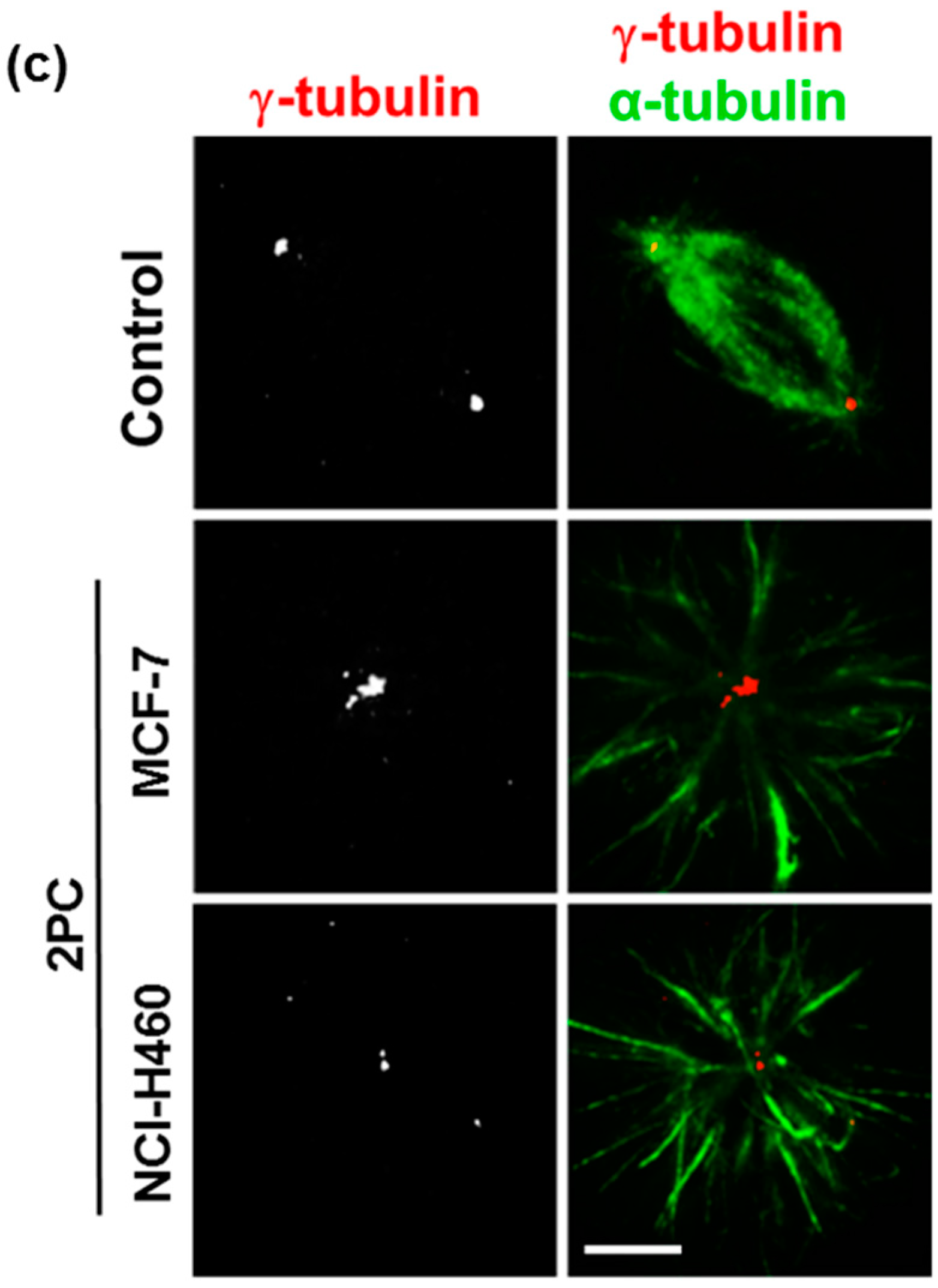 Molecules 21 00982 g003b