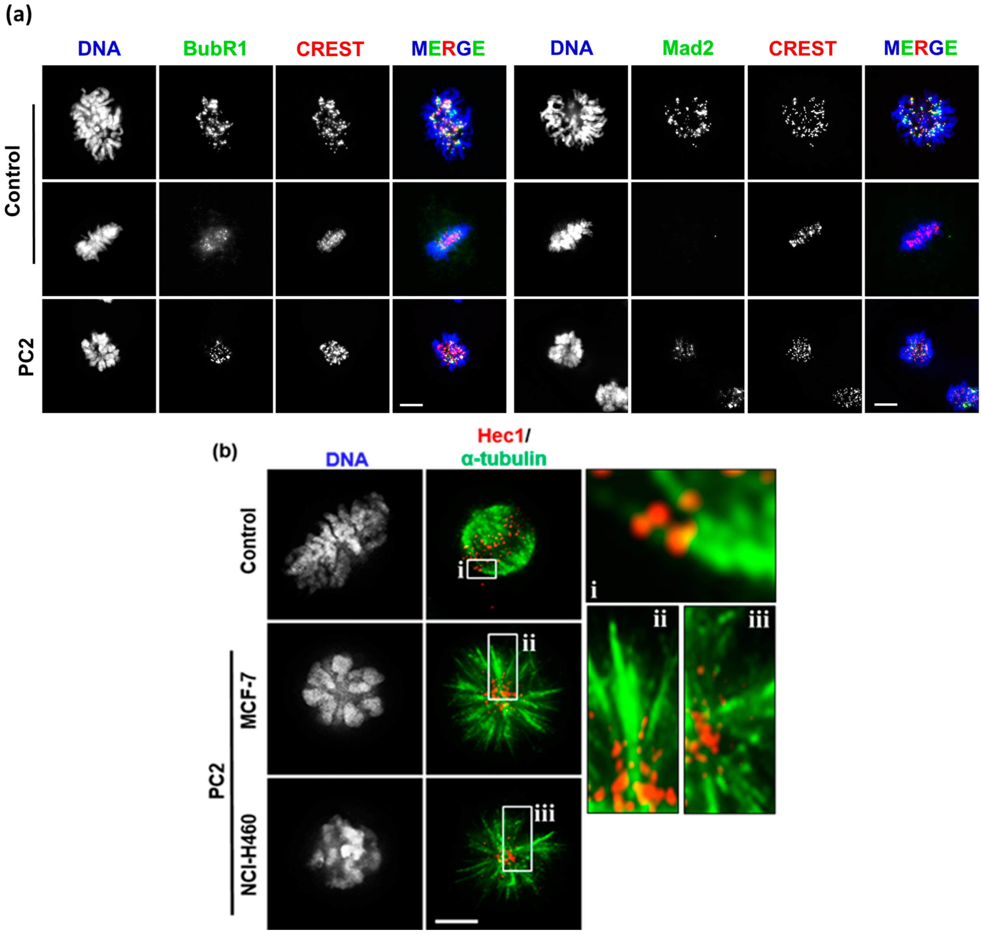 Molecules 21 00982 g004